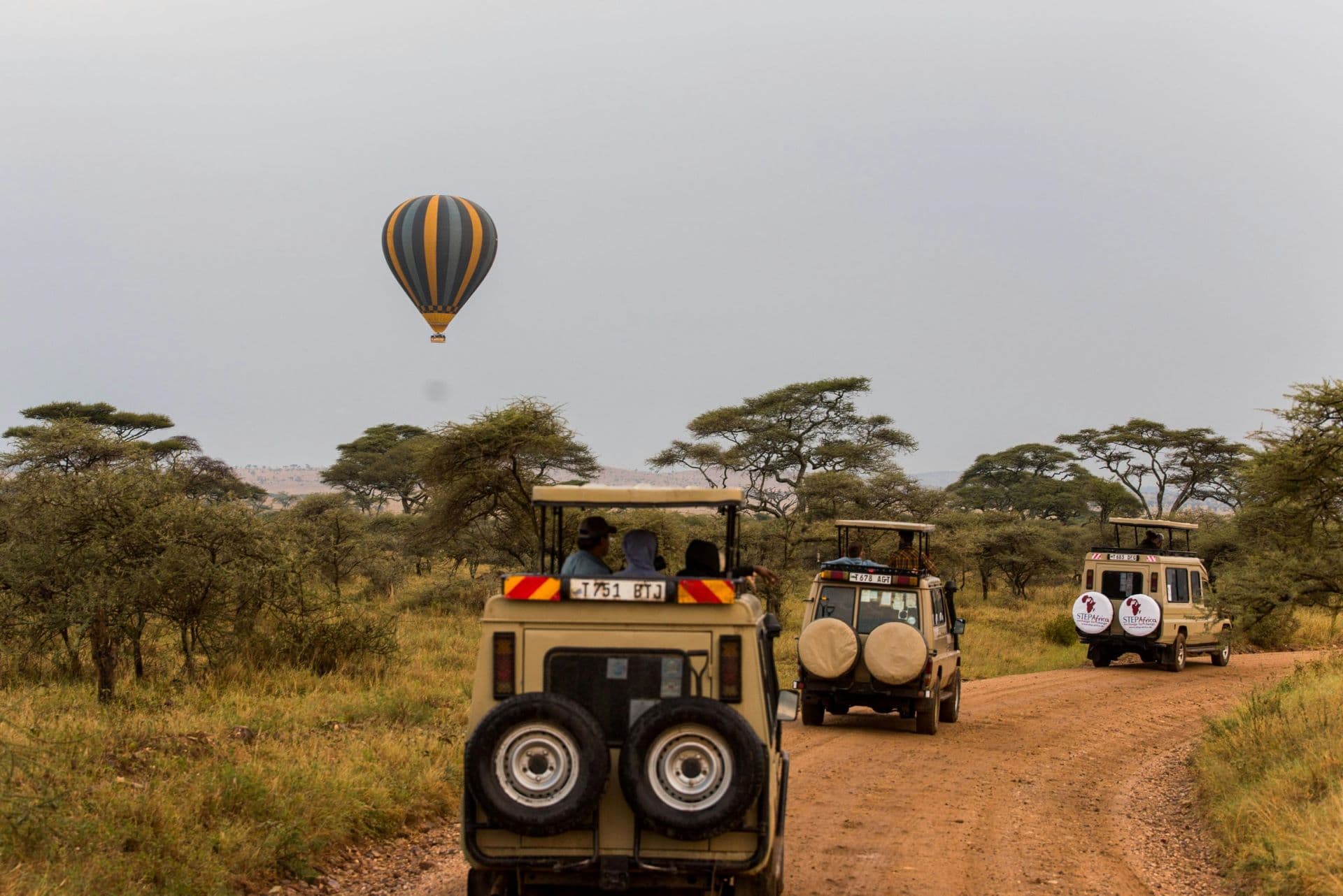 Choosing the Right Safari Vehicle Experience
