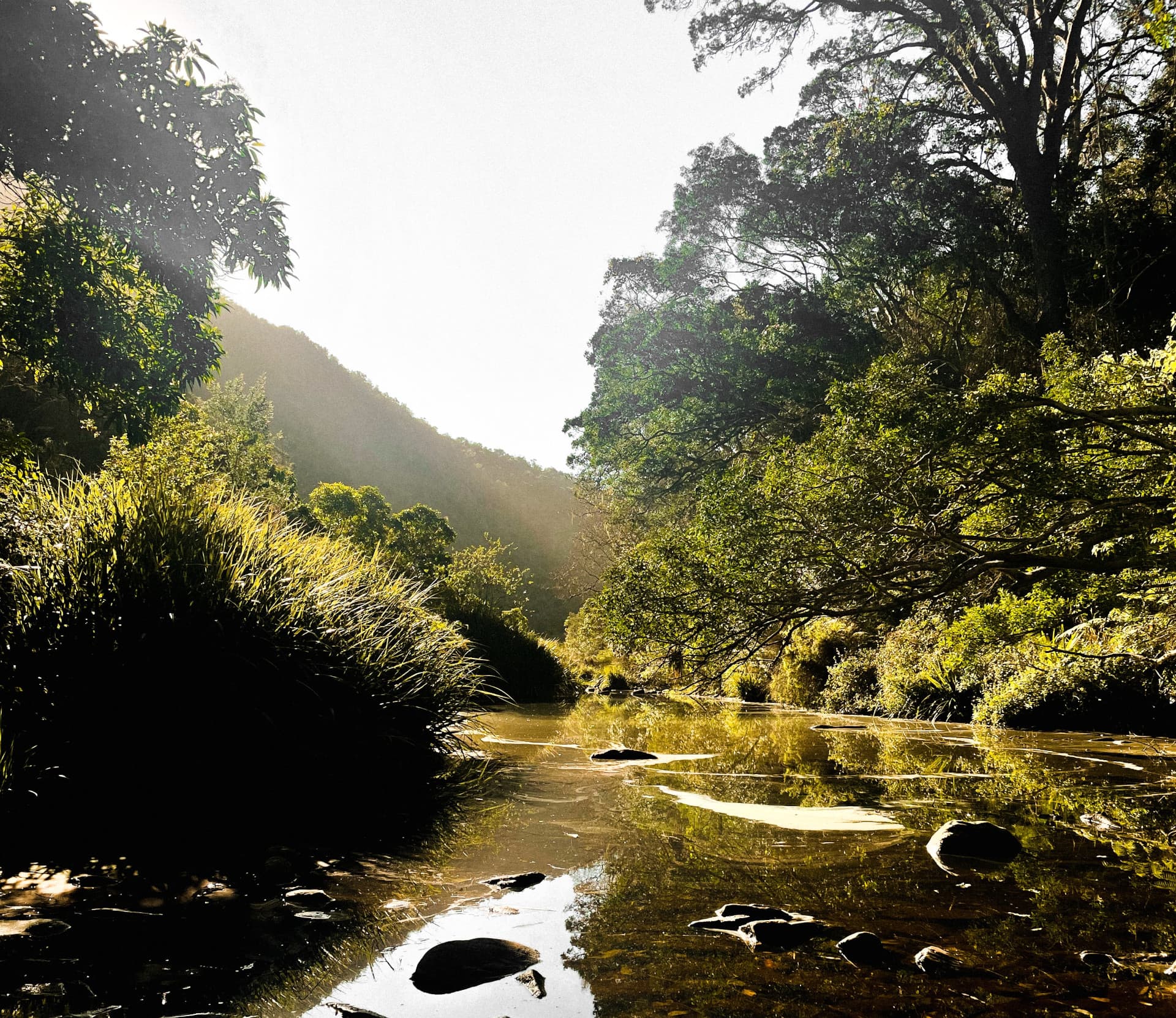 The Kouga Wilderness