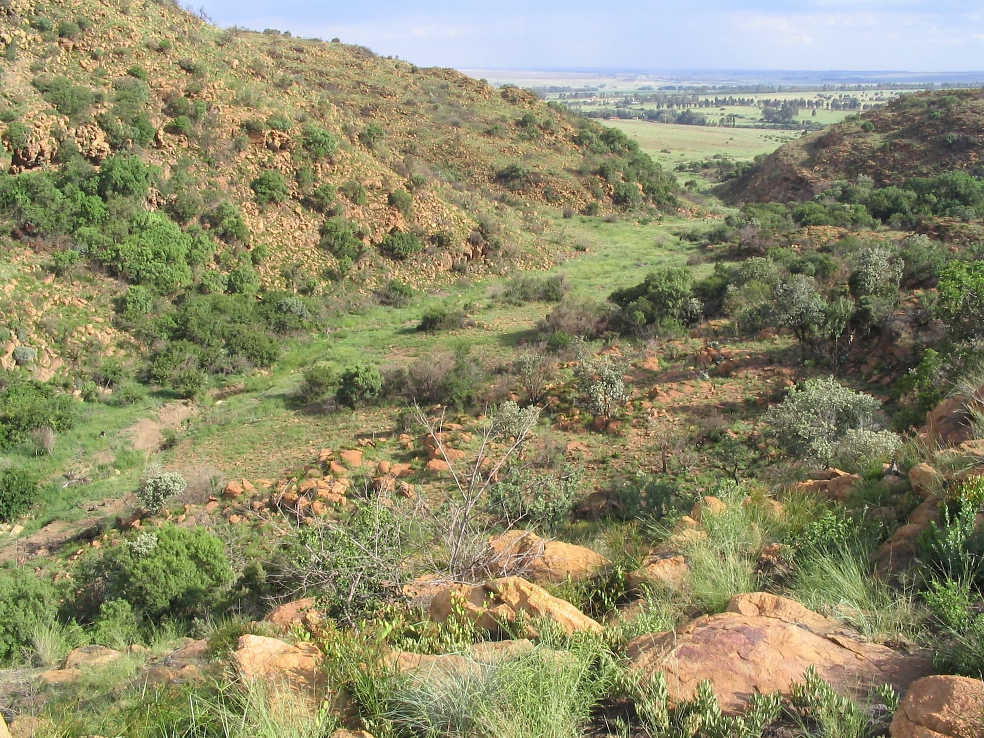 Alice Glockner Nature Reserve, Gauteng