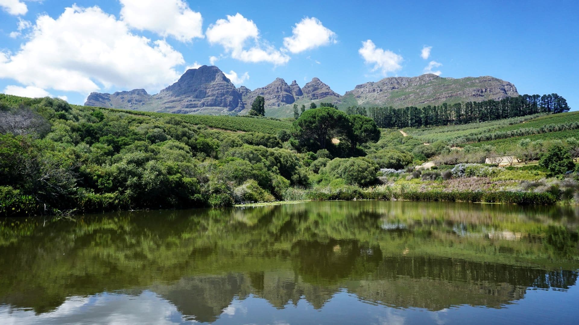 Beaverlac Nature Reserve, Western Cape