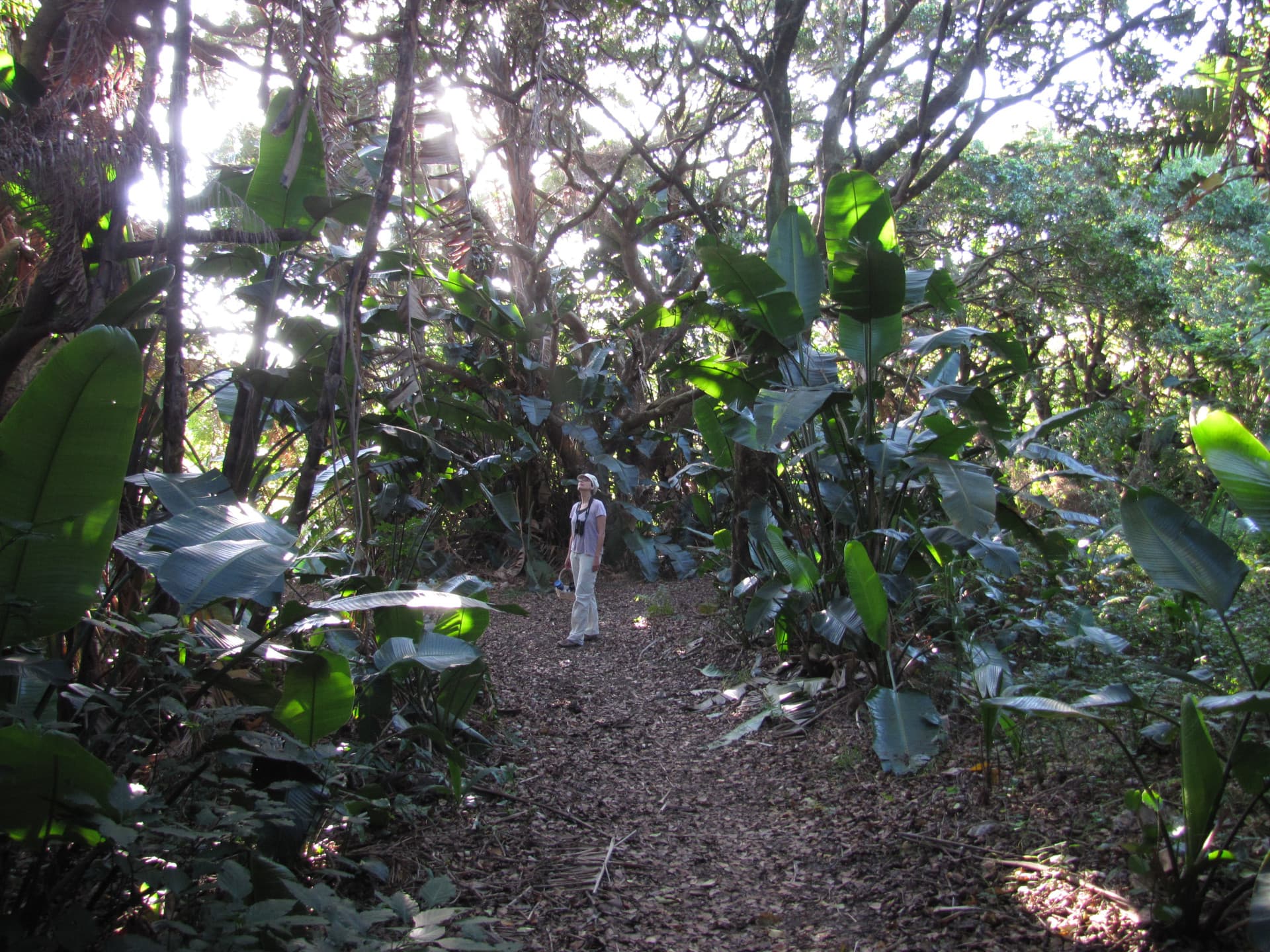 Bluff Nature Reserve in KwaZulu-Natal, South Africa