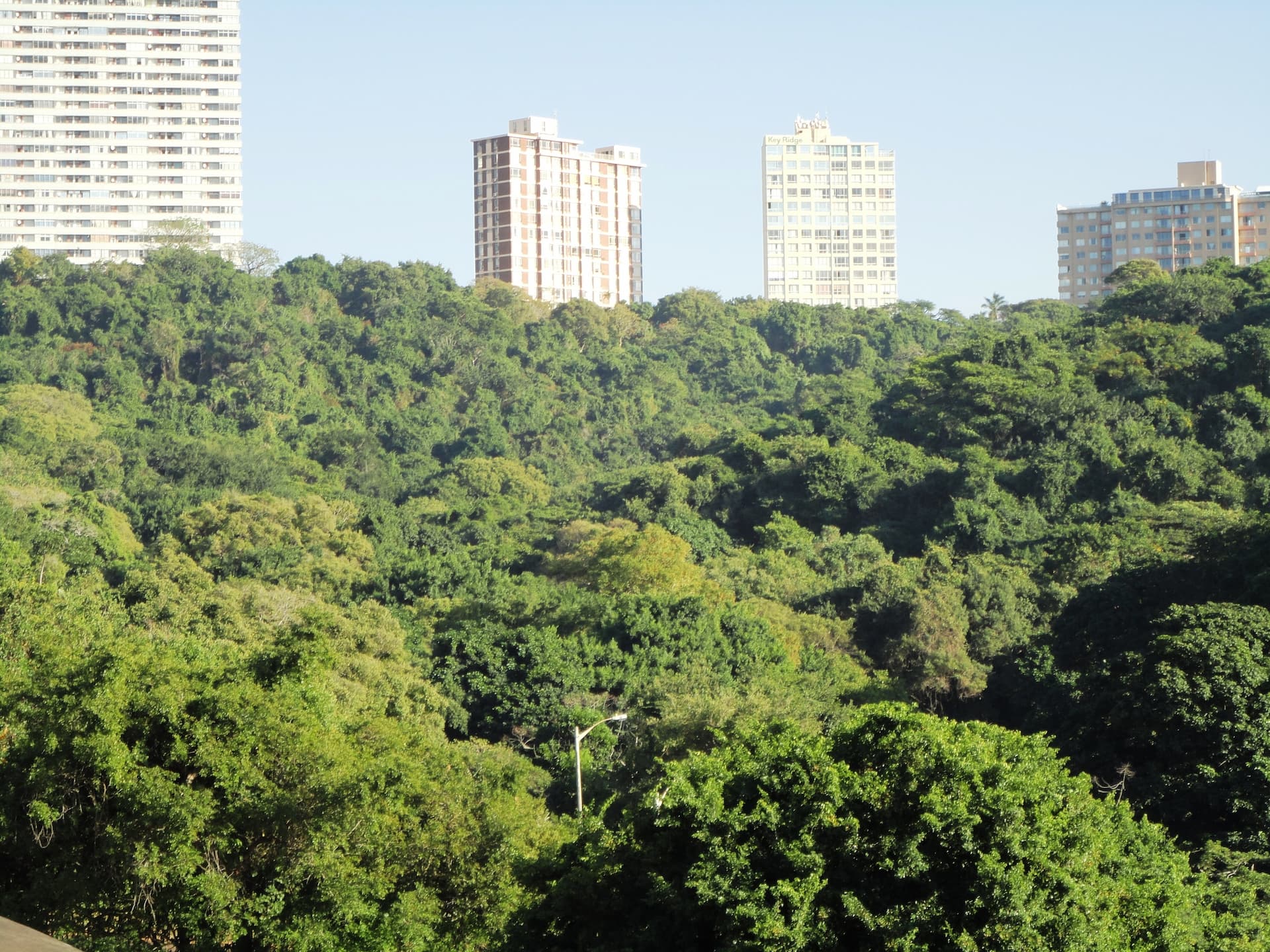 Burman Bush Nature Reserve, KwaZulu-Natal
