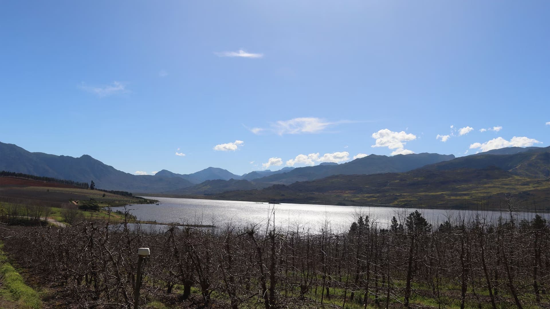 Cape Winelands Tour Description