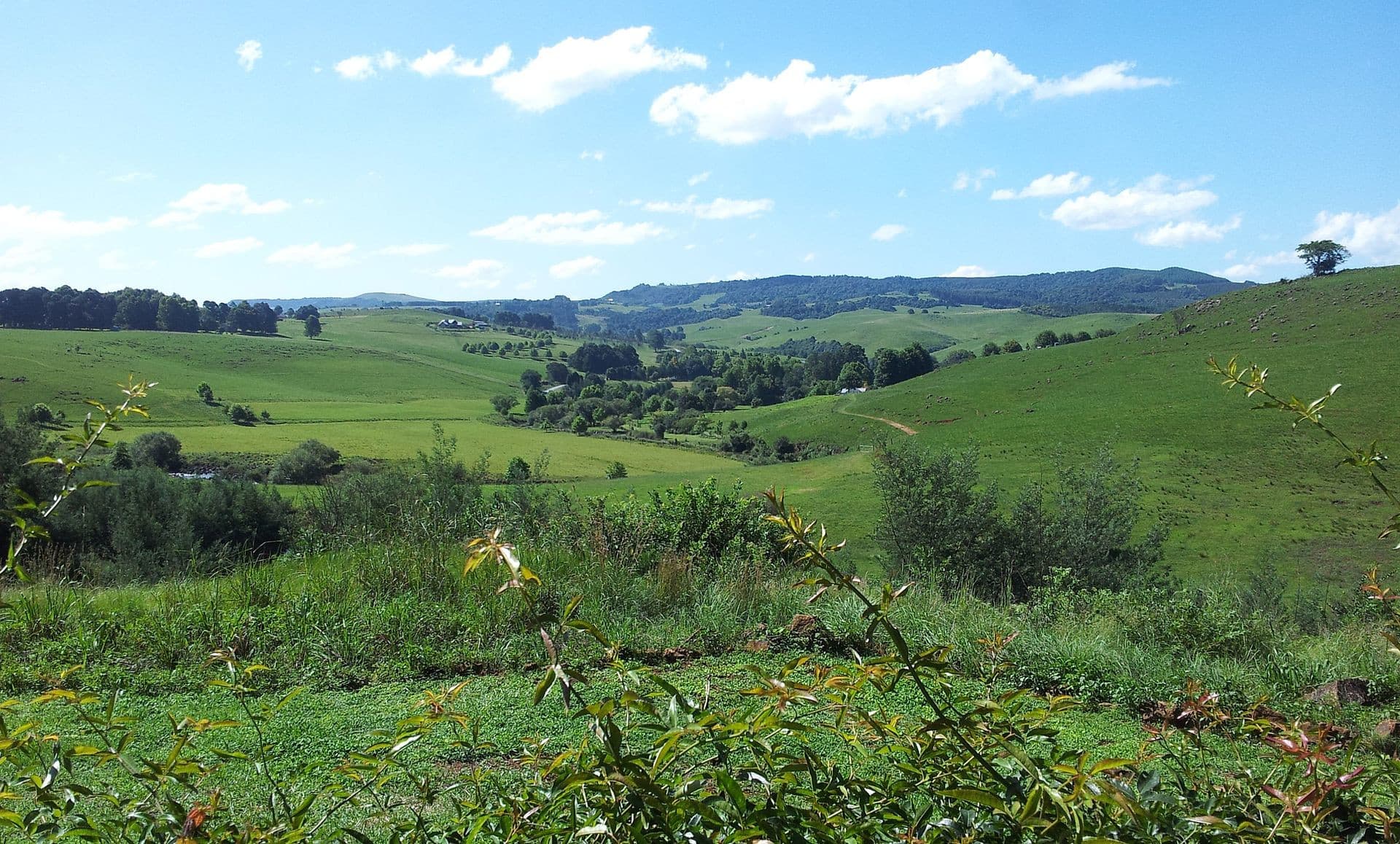 Craigie Burn Nature Reserve, KwaZulu-Natal South Africa