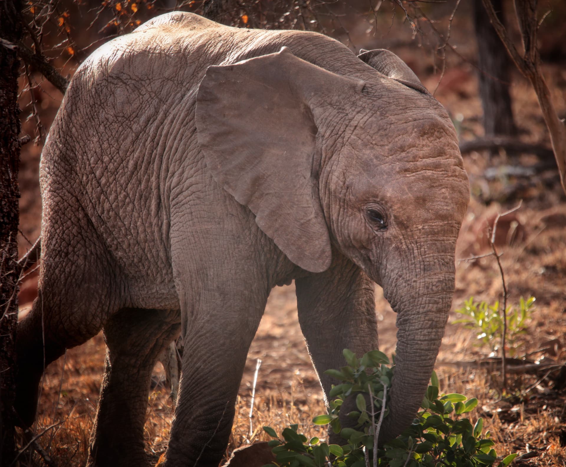 Enseleni Nature Reserve, KwaZulu-Natal