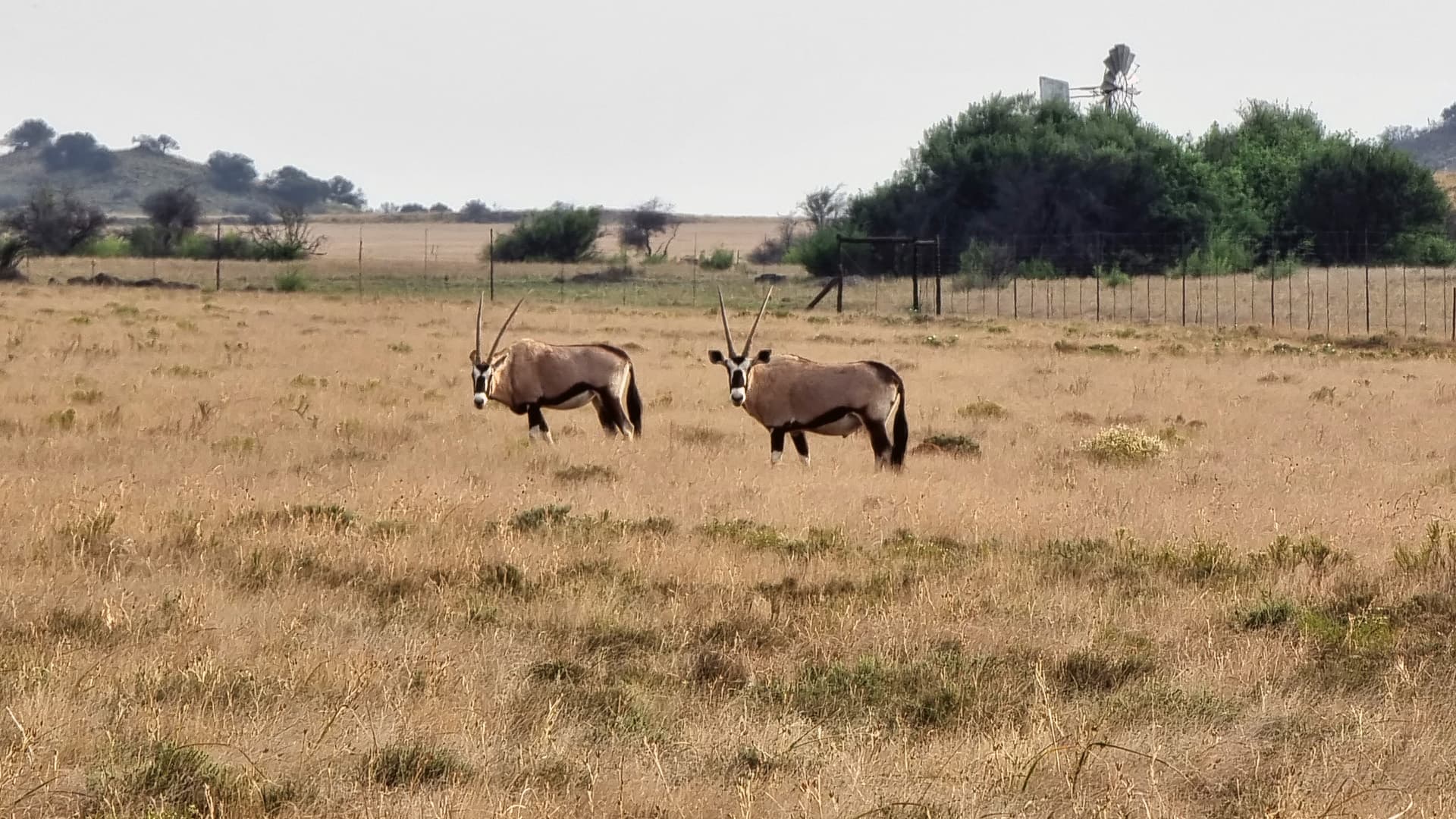 Faan Meintjies Nature Reserve