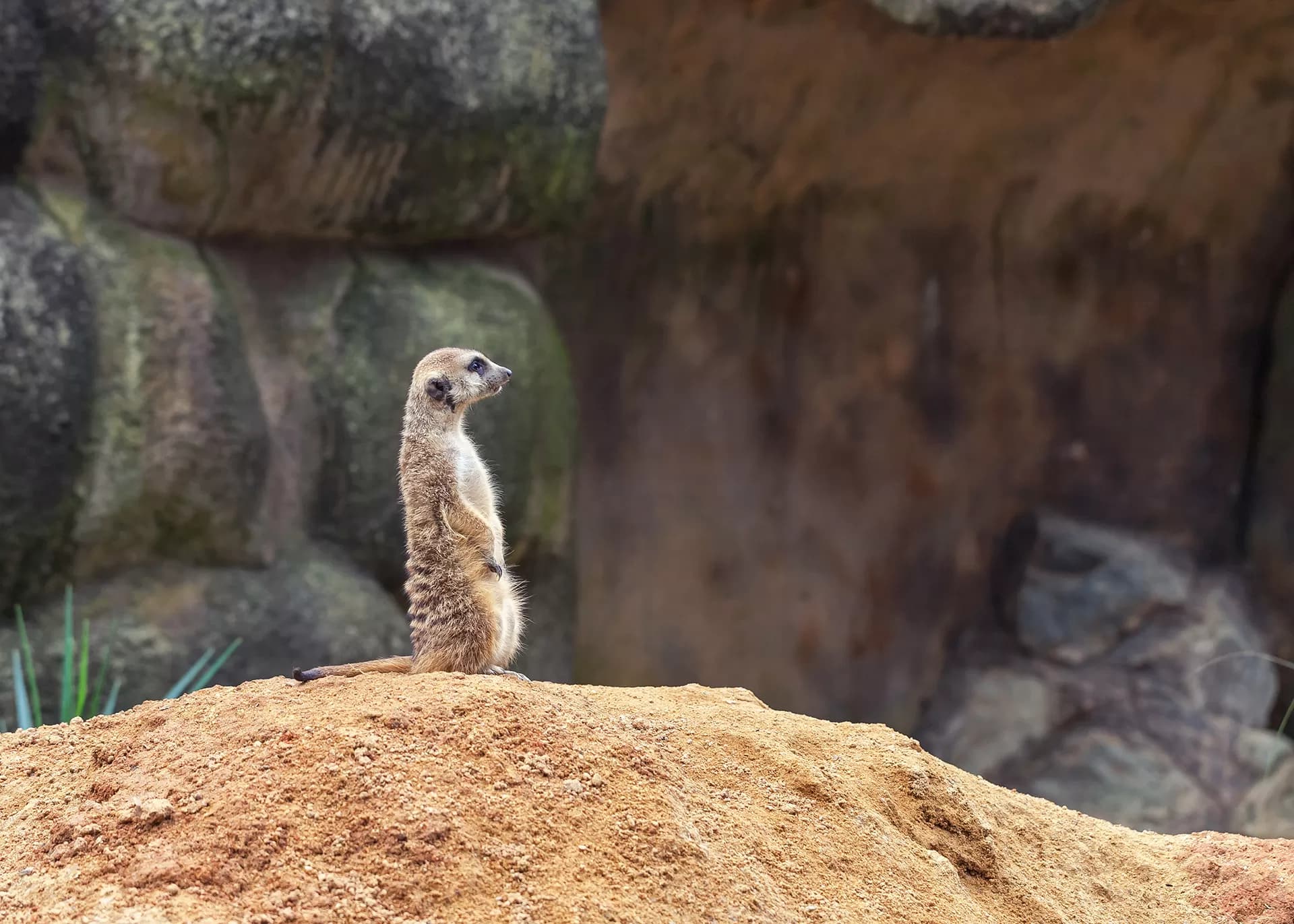 Free State surrounding areas