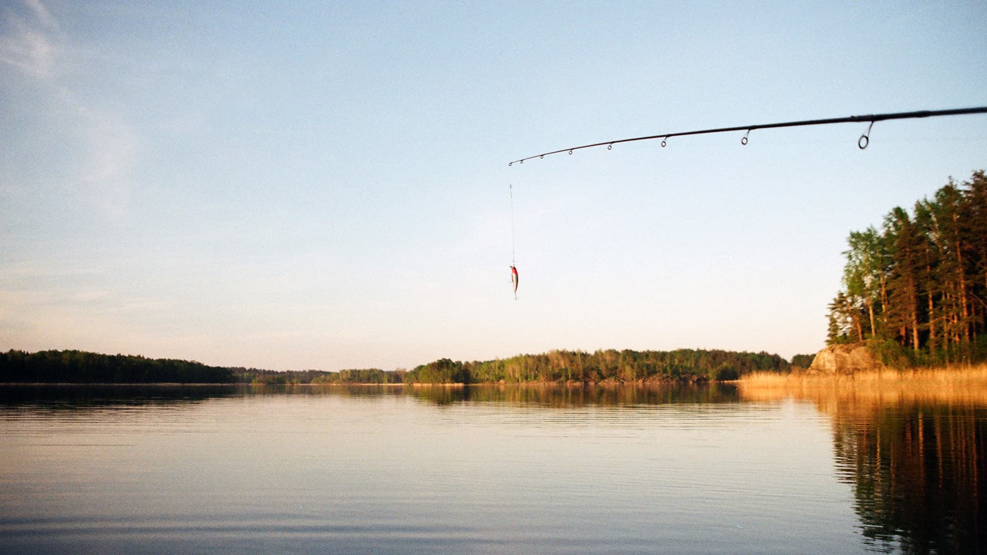 Freshwater dam fishing in South Africa