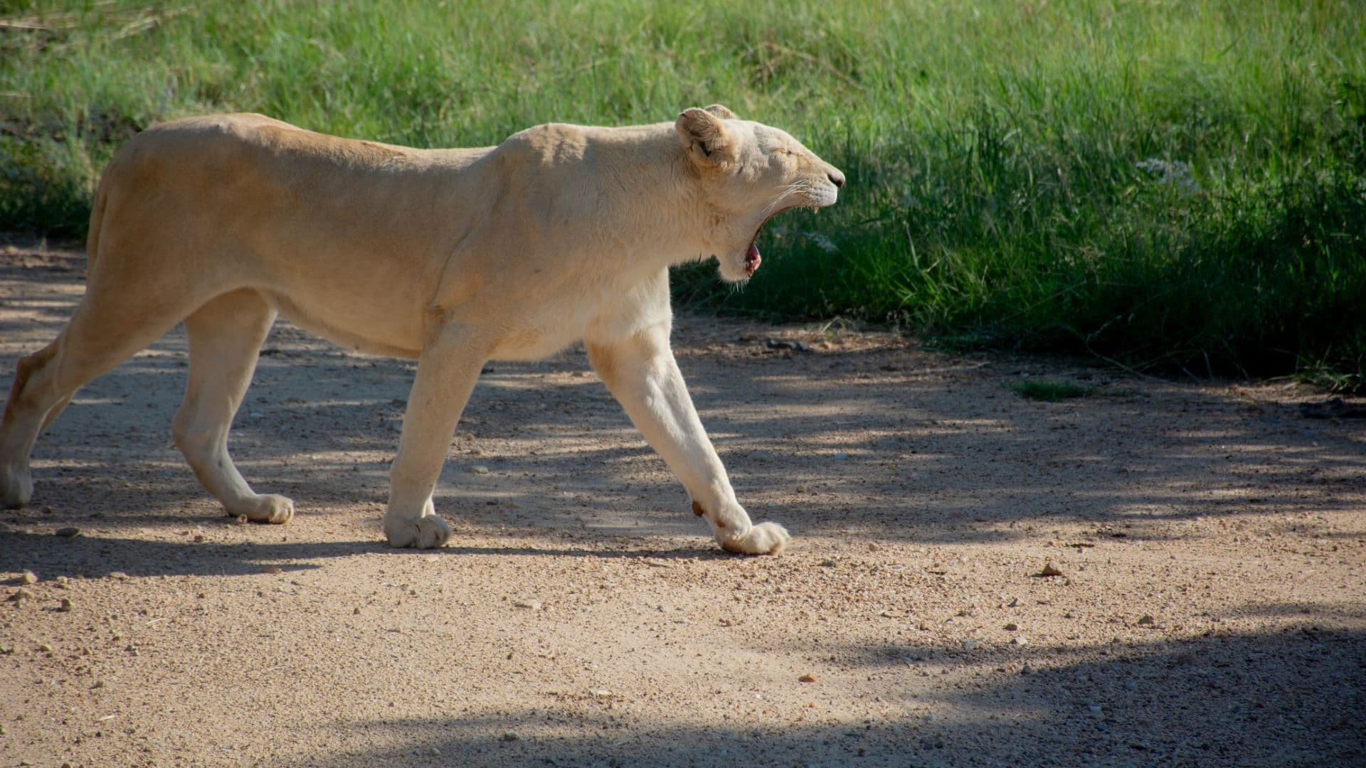 Gauteng's Most Loved Tourist Spots