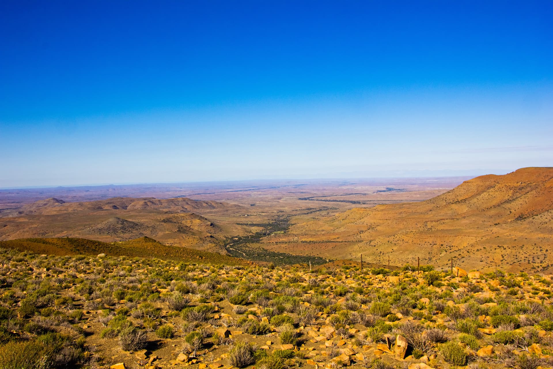 Goegap Nature Reserve, Northern Cape