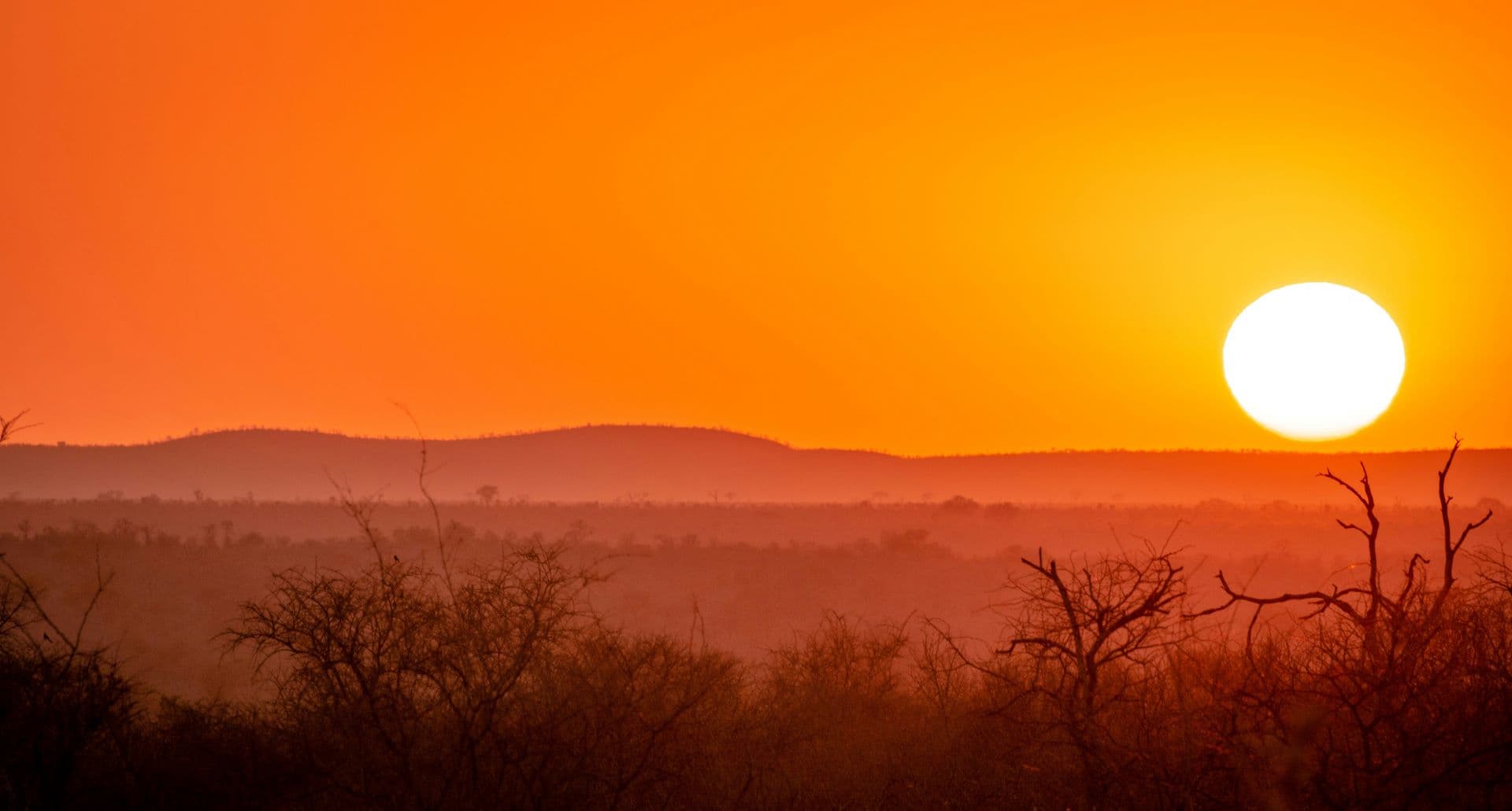 Golden Horizons: South Africa’s Most Stunning Sunsets