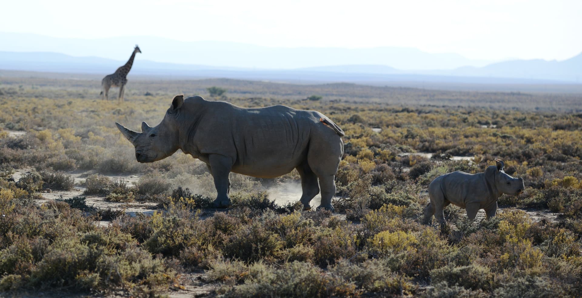 Great Fish River Reserve in Eastern Cape, South Africa