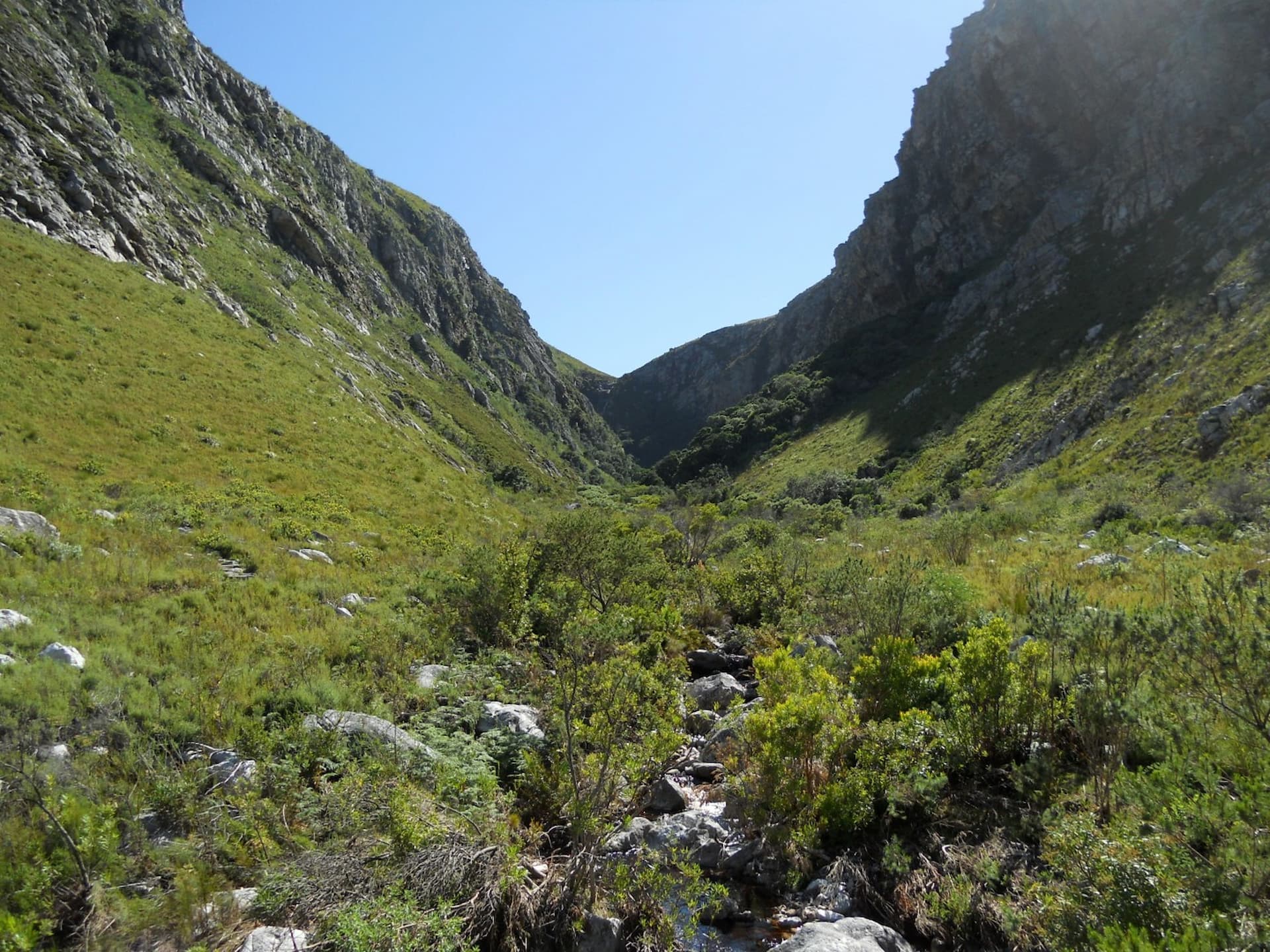 Harold Porter National Botanical Garden, Western Cape