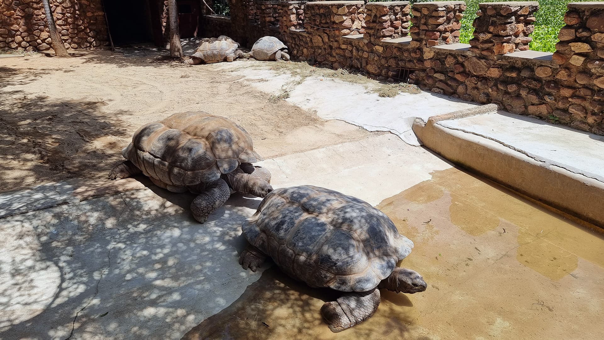 Hartbeespoort Dam Snake and Animal Park