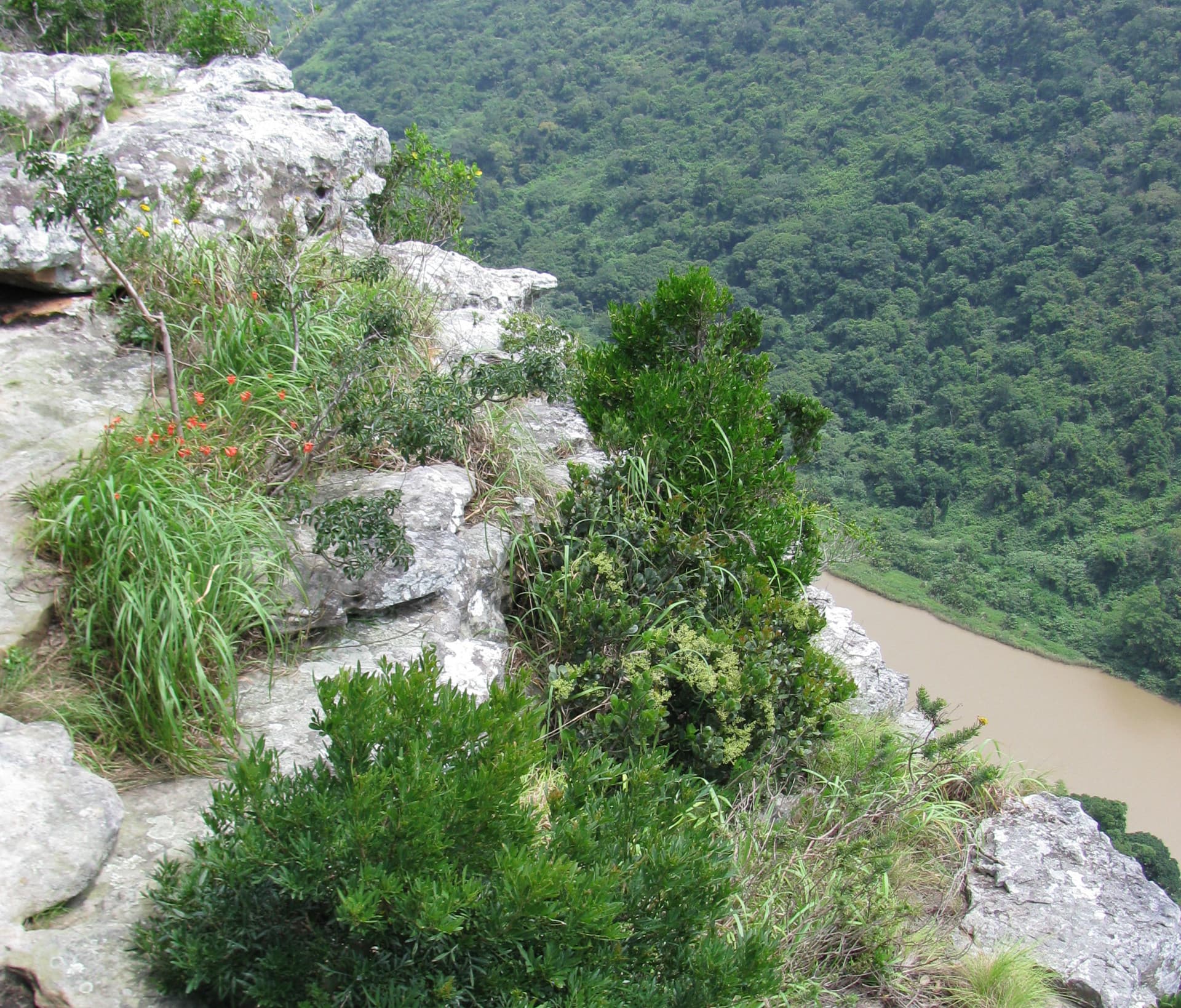 Himeville Nature Reserve