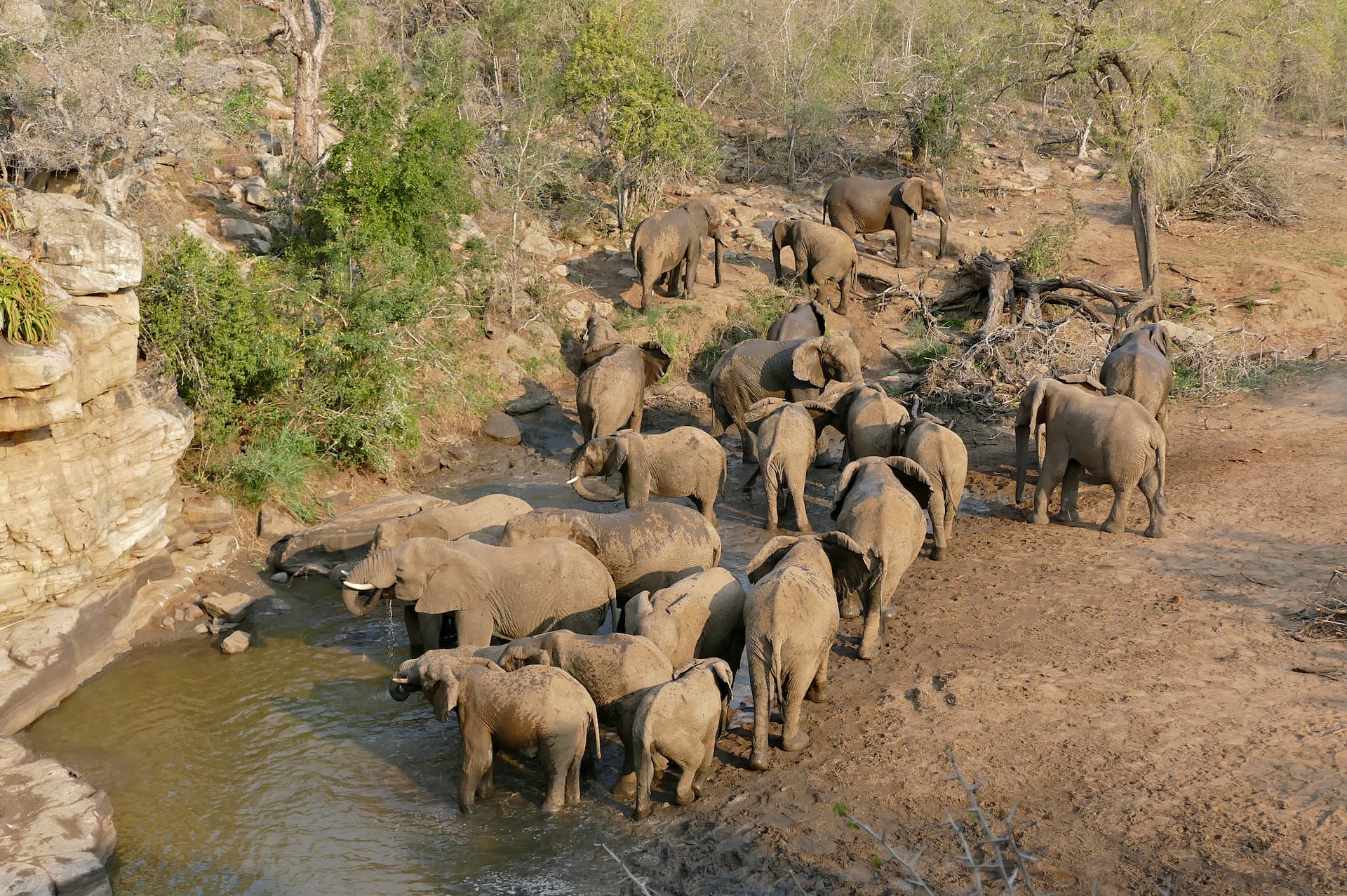 Hluhluwe iMfolozi Park, KwaZulu-Natal