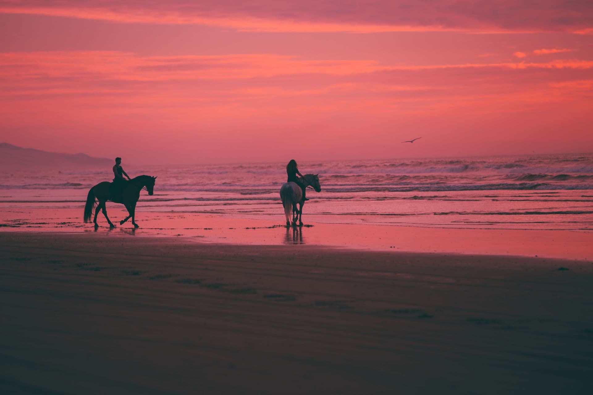 Horseback Beach Rides in KwaZulu-Natal