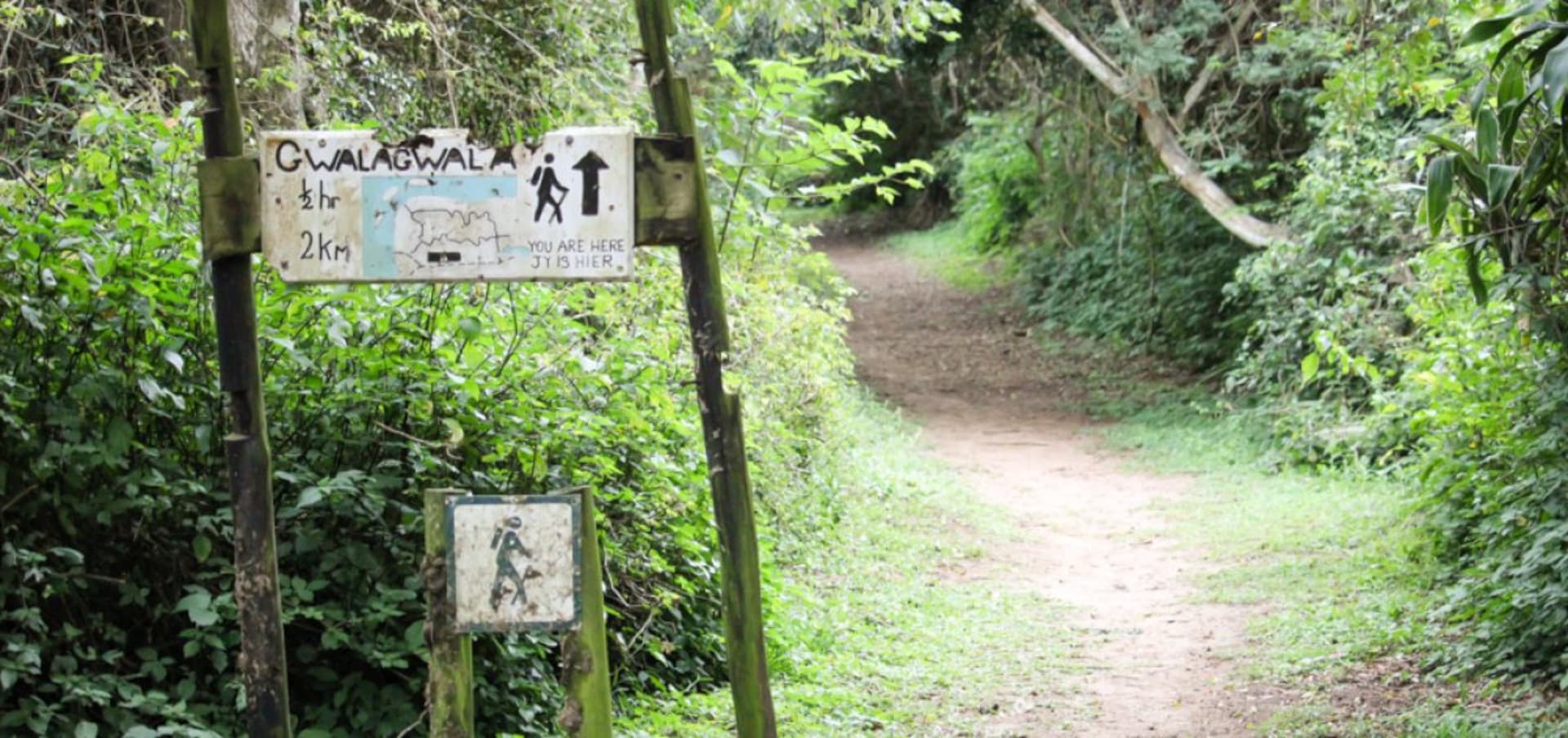 Visit iGwala Gwala nature reserve in KwaZulu-Natal, South Africa