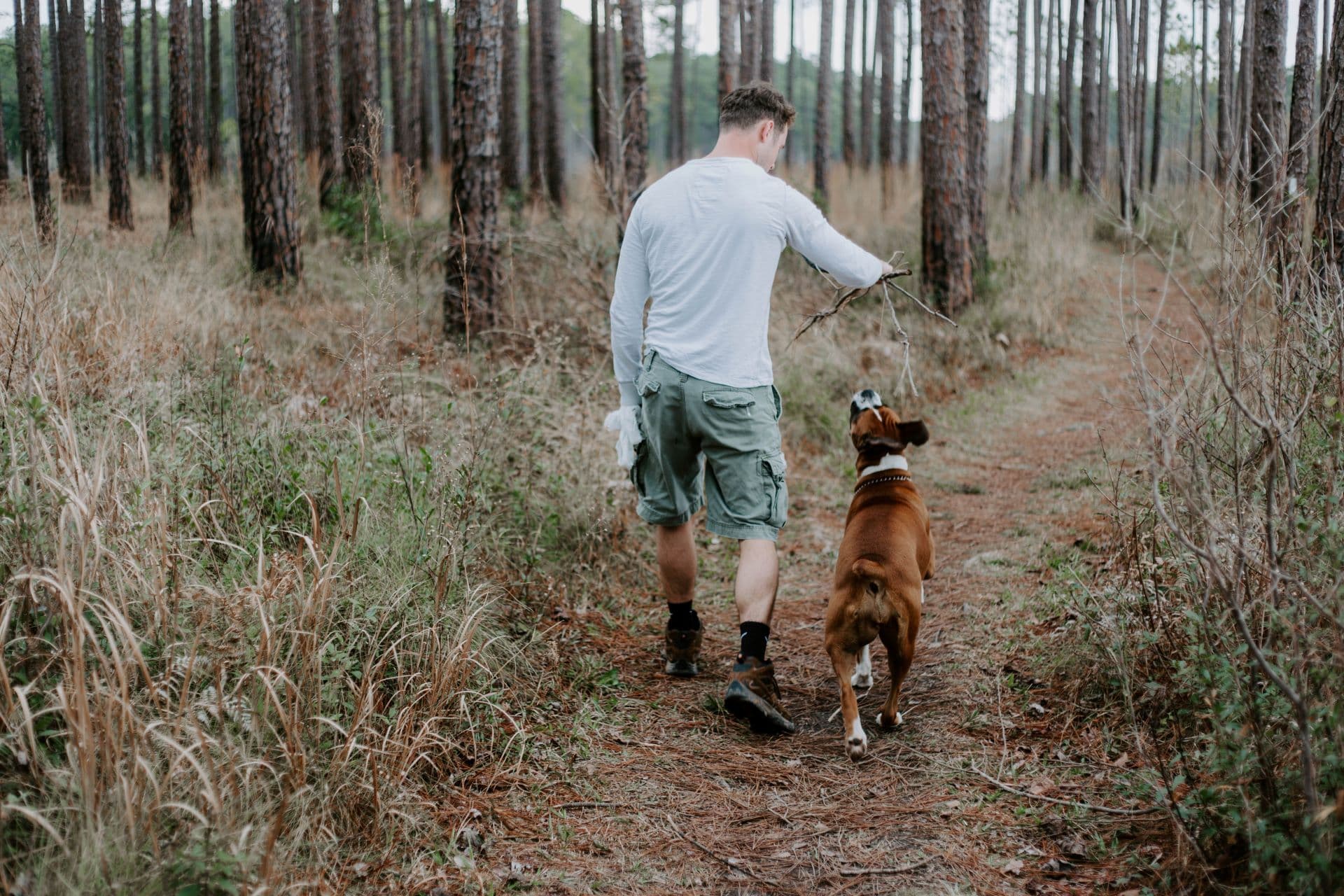 Jock of the Bushveld Trail, Mpumalanga