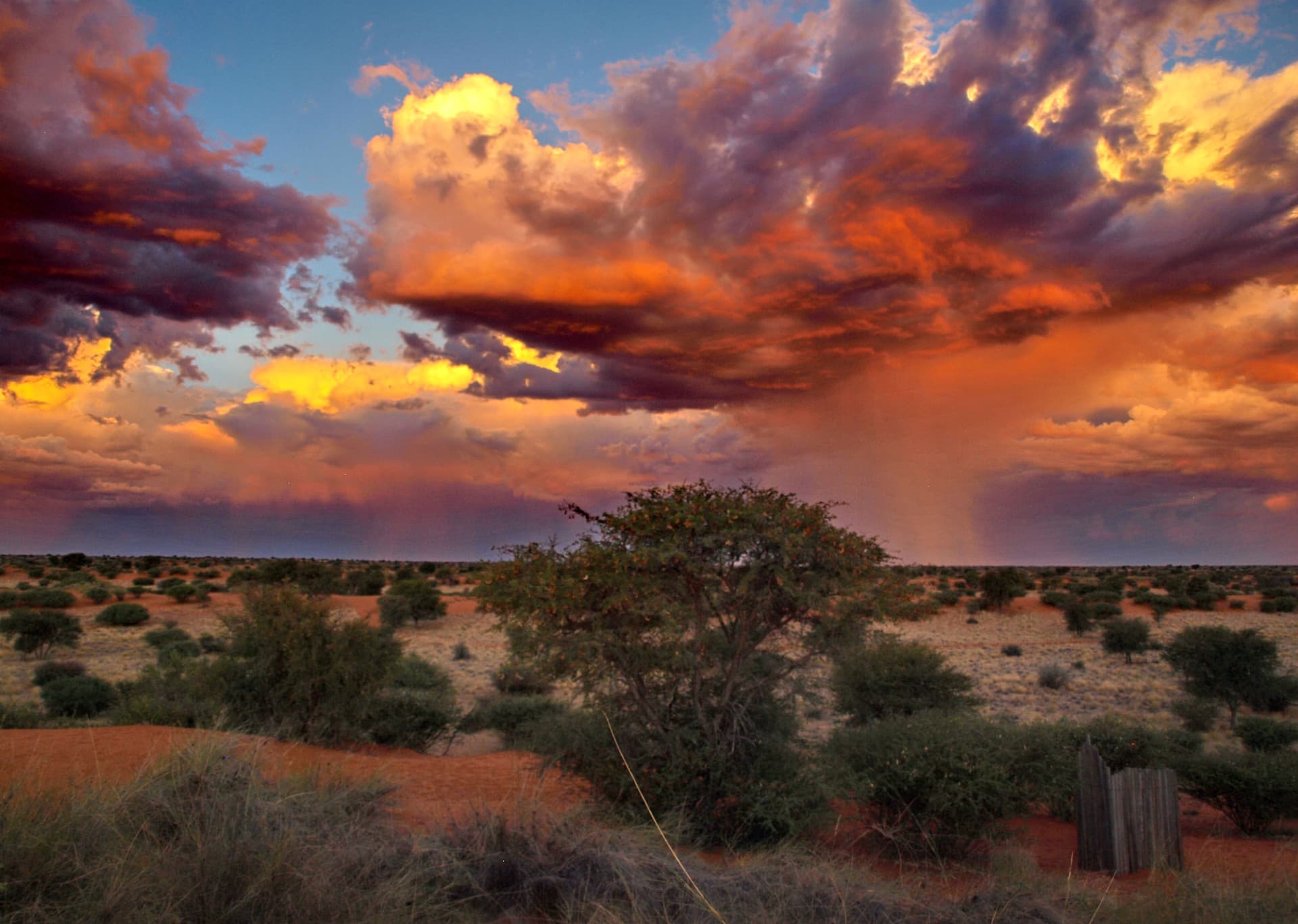 The Kalahari Desert South Africa