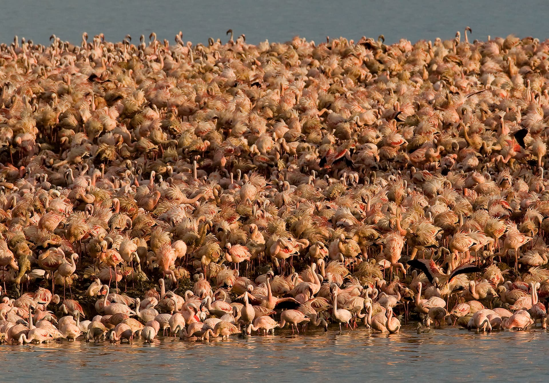 Kamfers Dam, Northern Cape