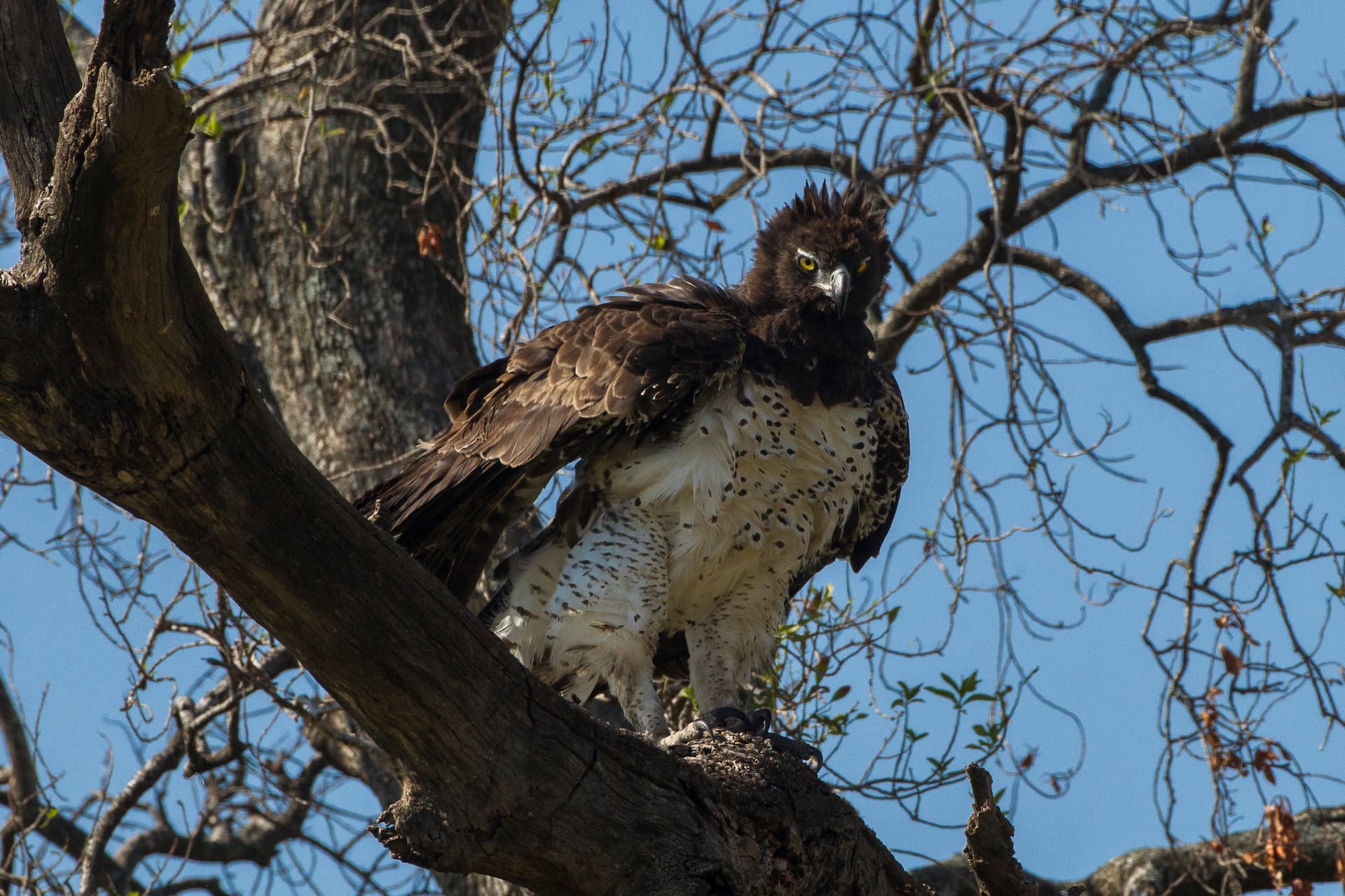 Karkloof Conservancy, KwaZulu-Natal