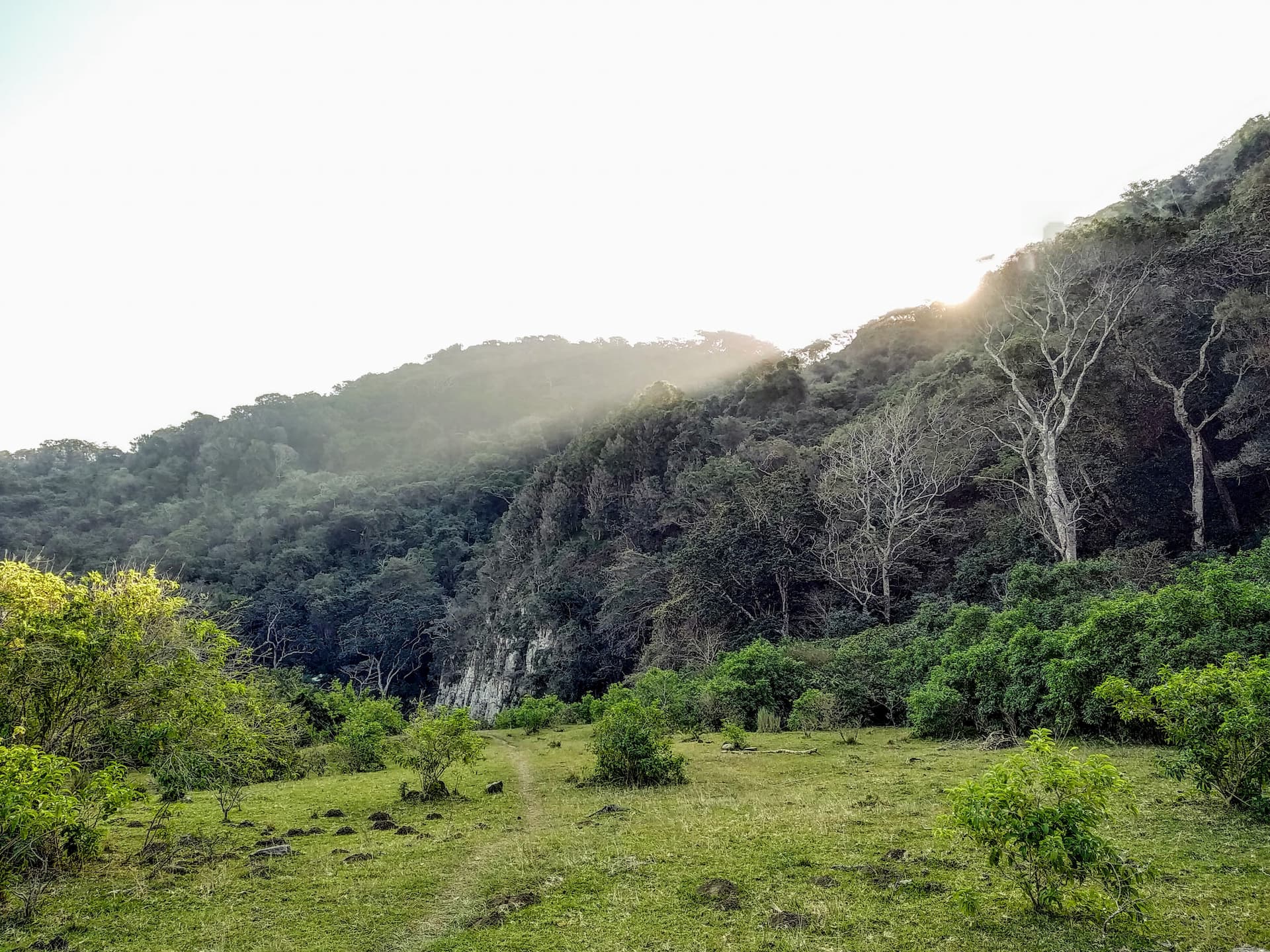 Kologha Forest Reserve, Eastern Cape