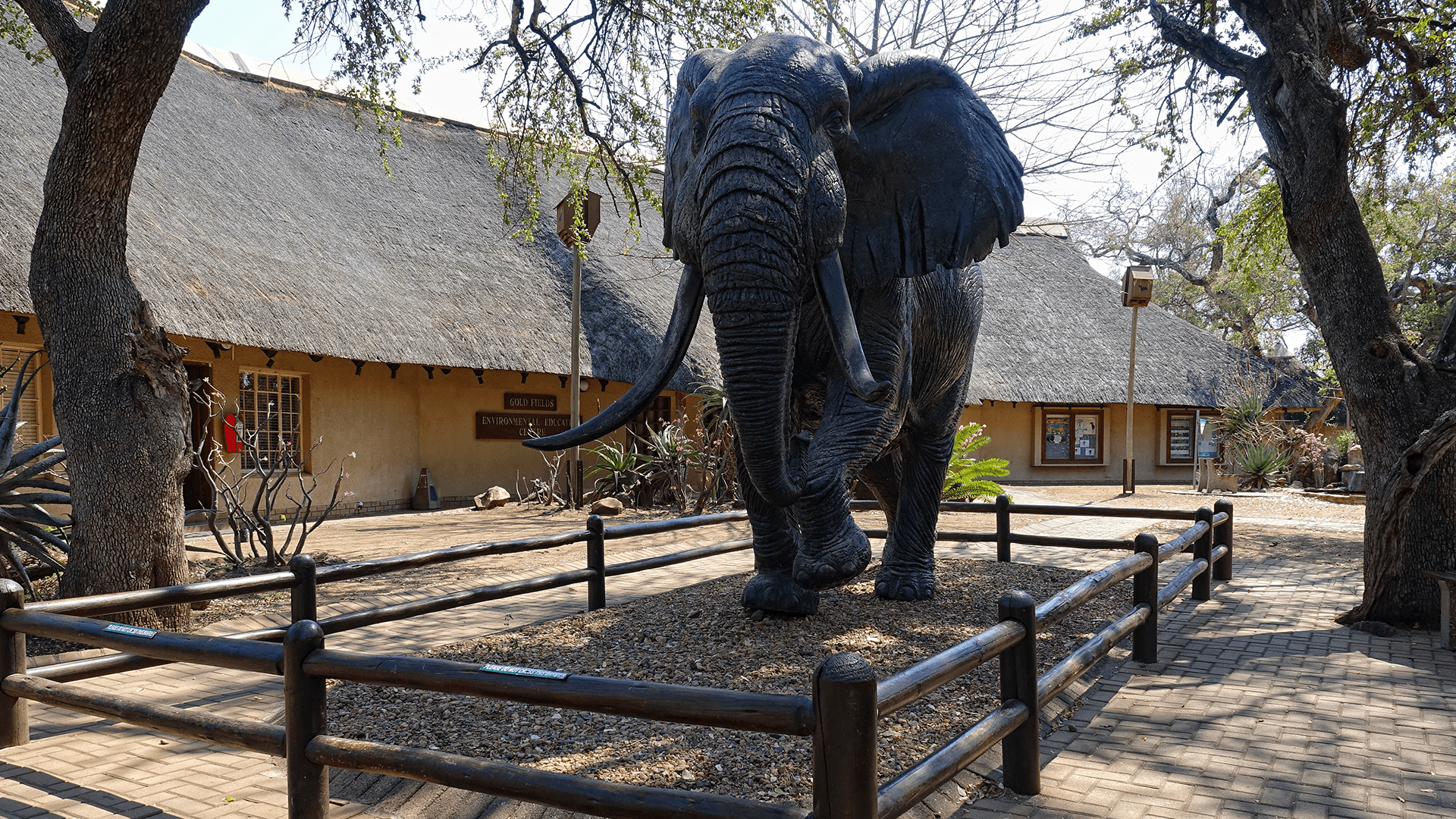 Letaba Elephant Hall