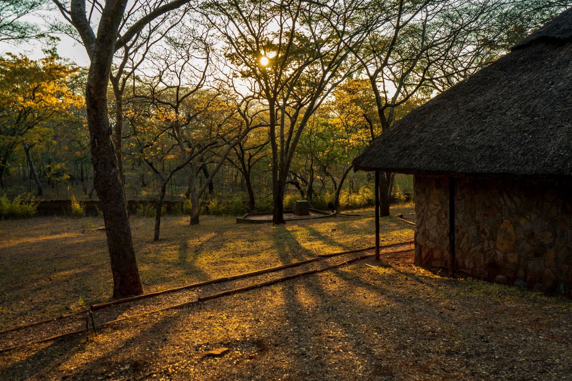Luxury Lodges: South Africa’s Ultimate Safari & Coastal Retreats