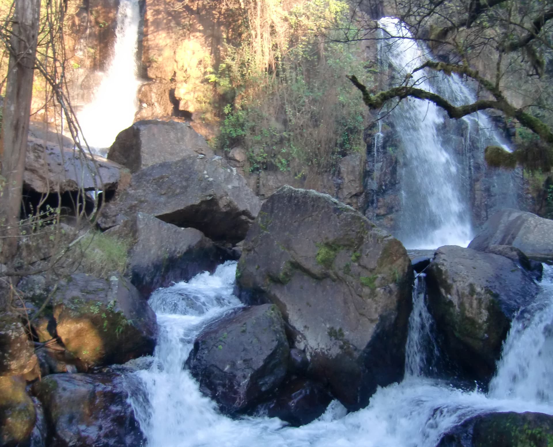 Mariepskop Nature Reserve