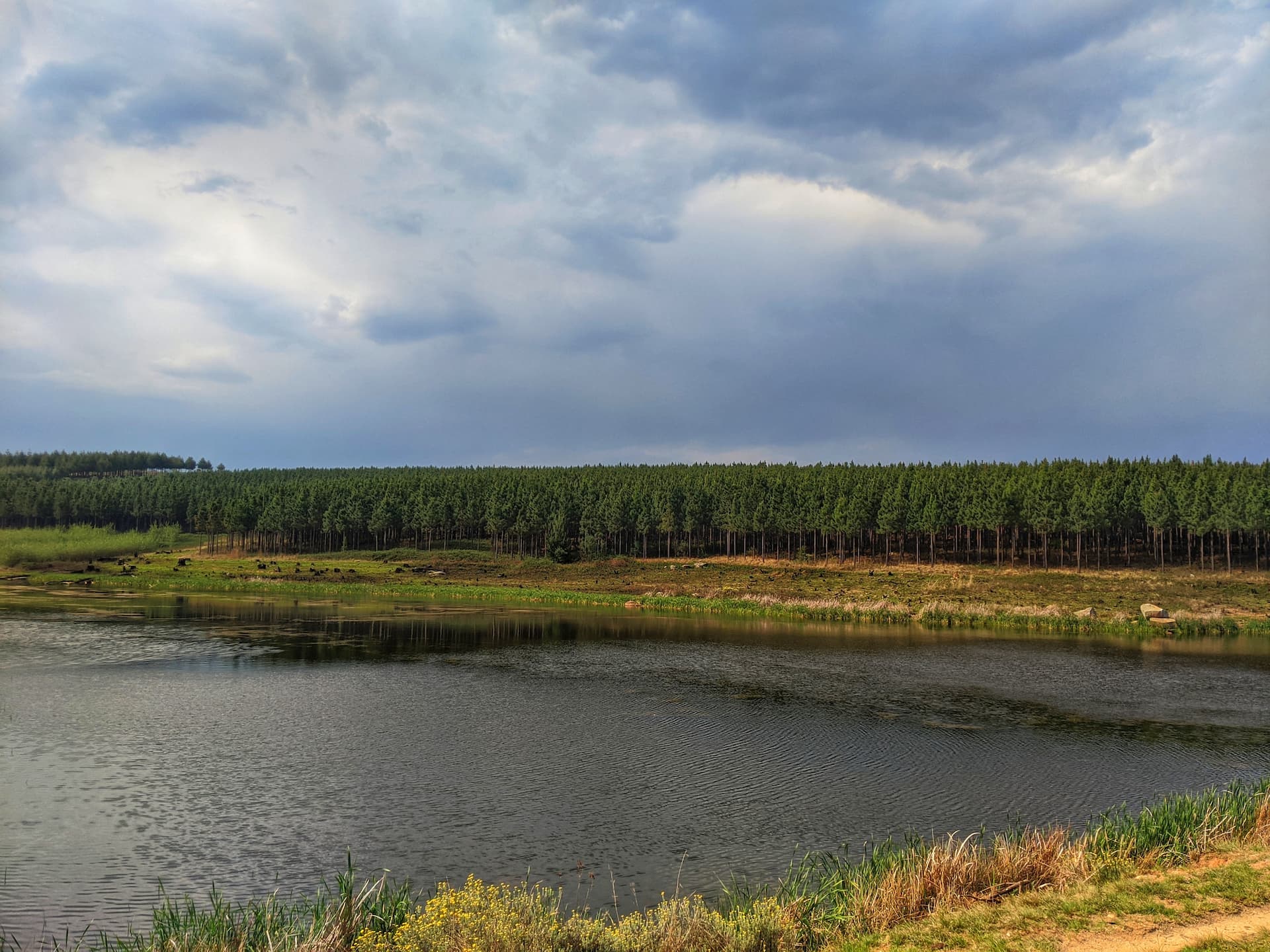 Mkhombo Nature Reserve, Mpumalanga