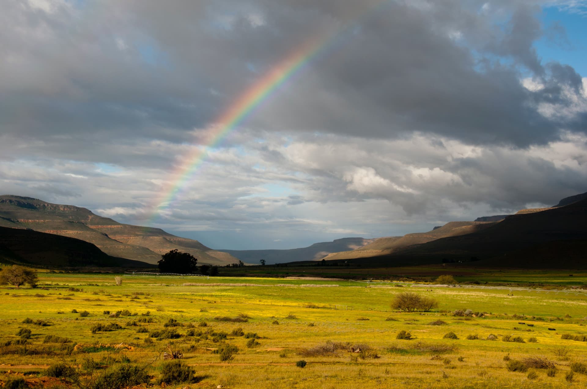 Molyneux Nature Reserve