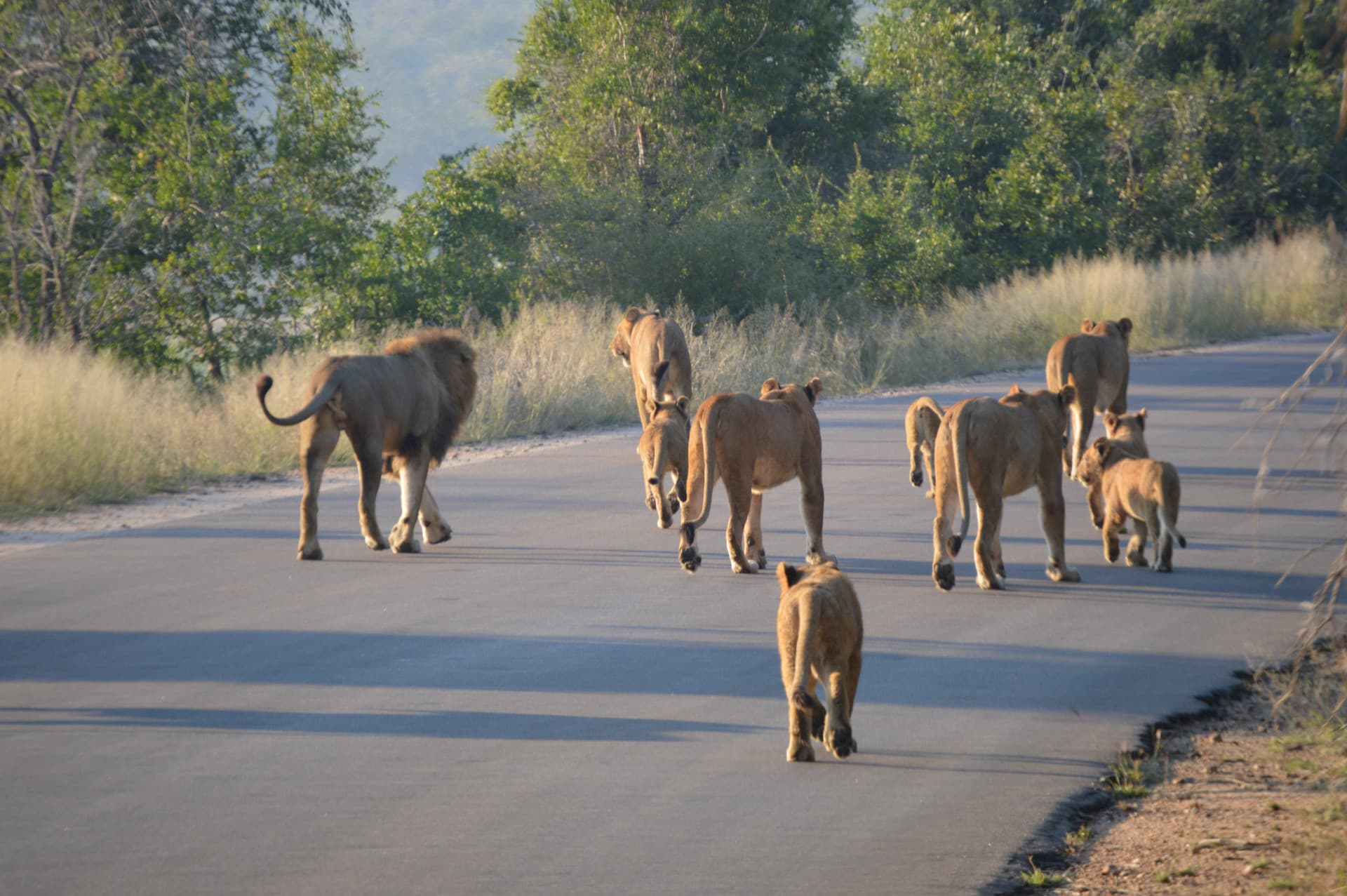 Mountainlands Nature Reserve in Mpumalanga, South Africa