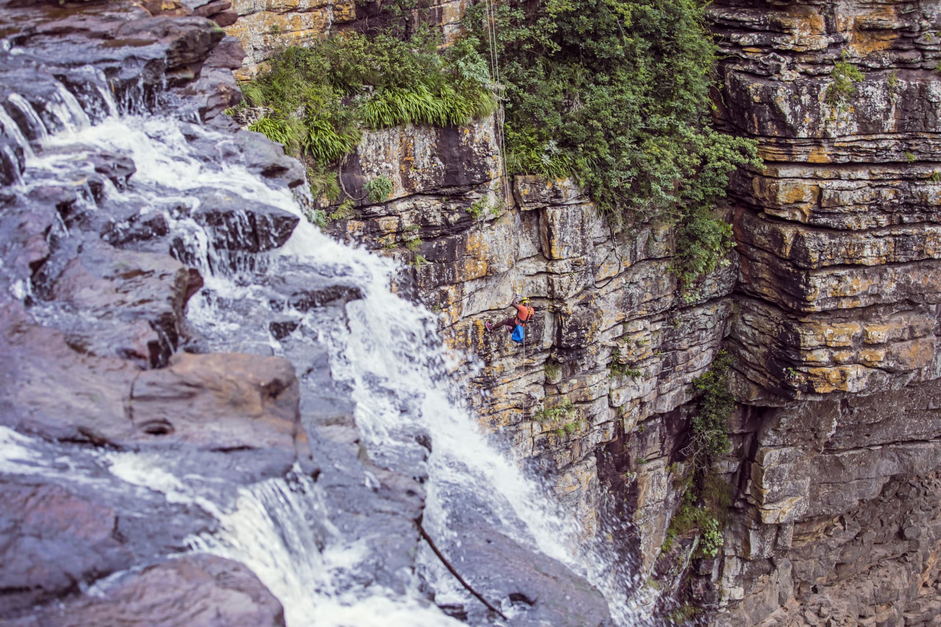 New Germany Nature Reserve, KwaZulu-Natal South Africa