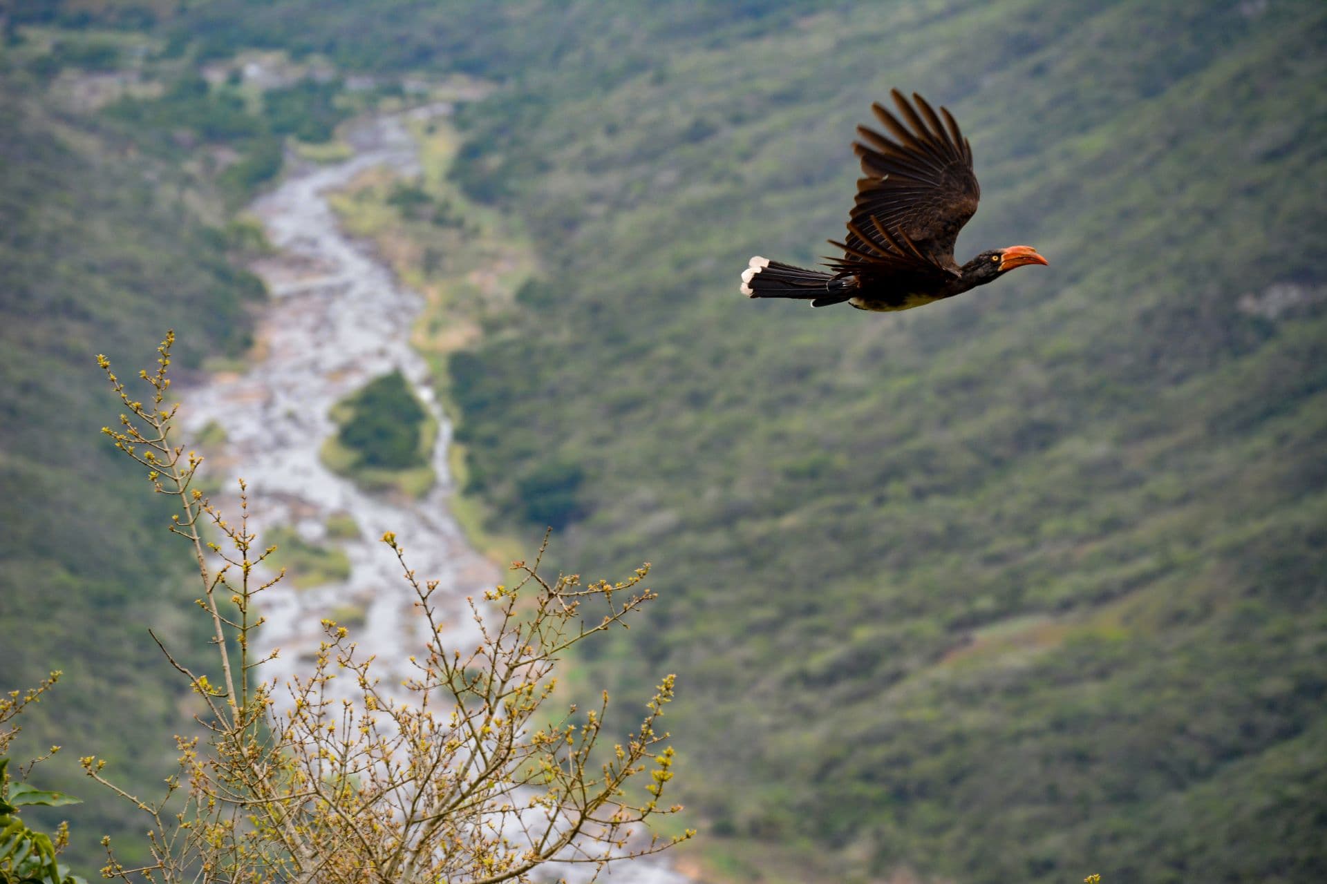 Nonoti Estuary, KwaZulu-Natal