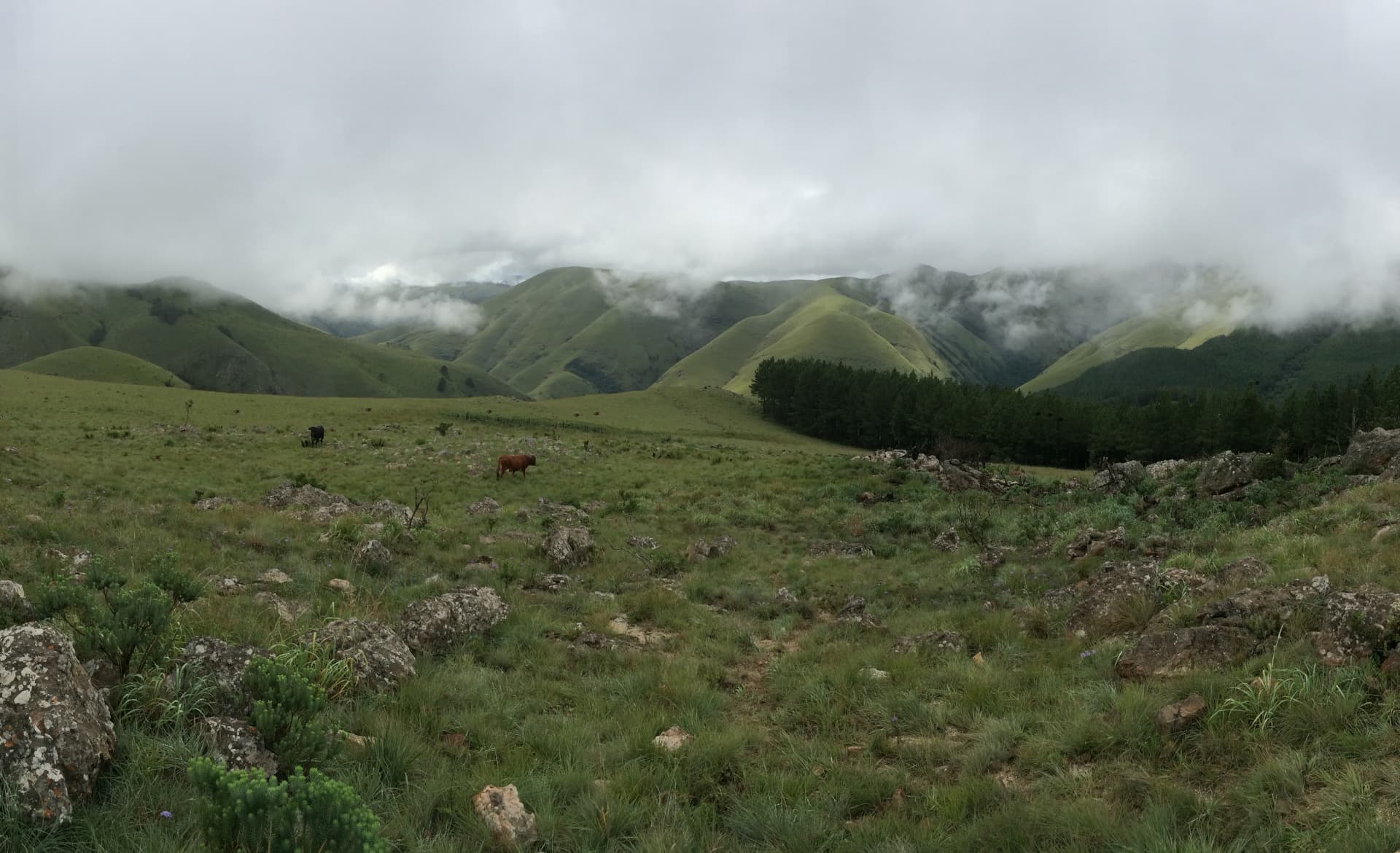 Visit Nooitgedacht Dam Nature Reserve