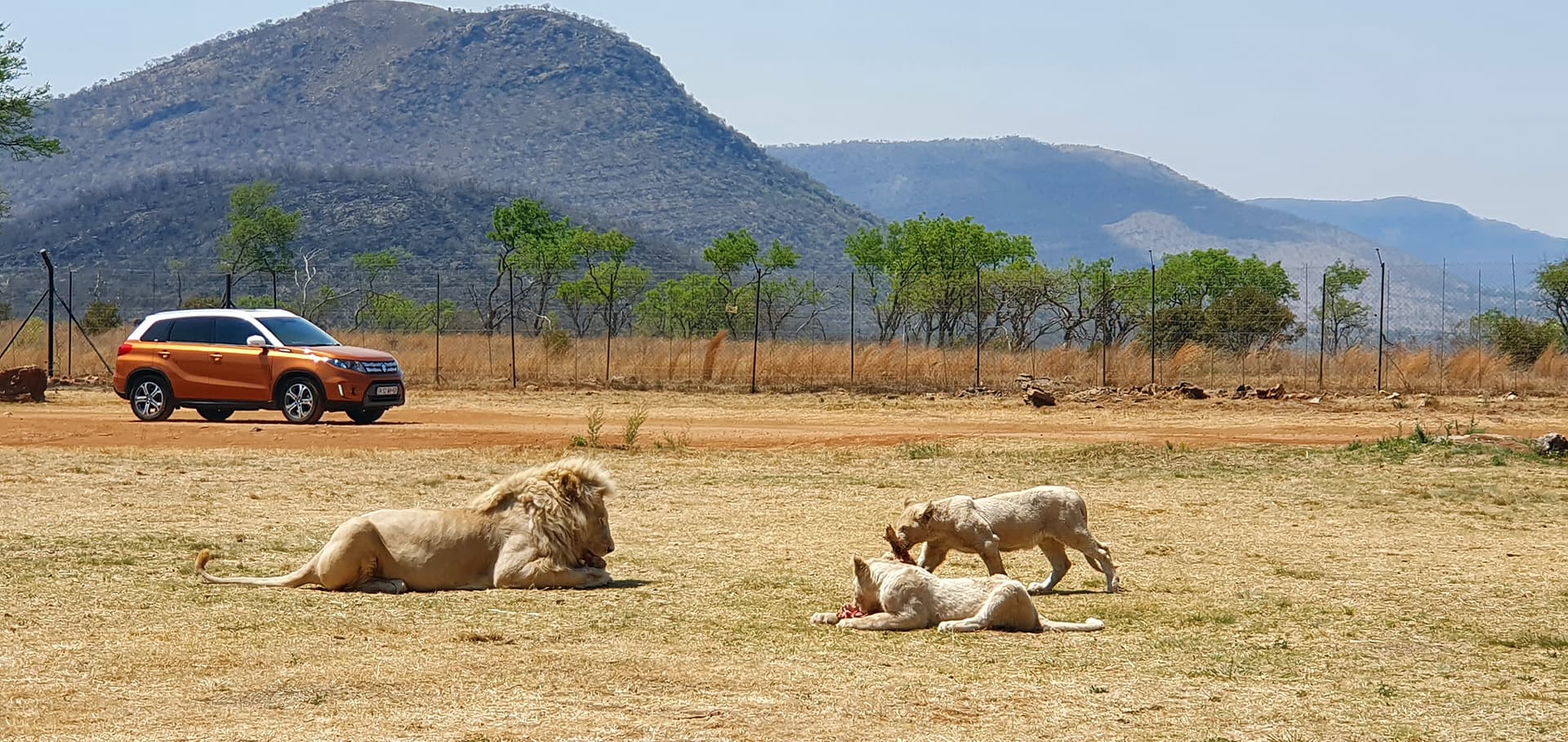 Top Tourist Destinations in the North West Province of South Africa