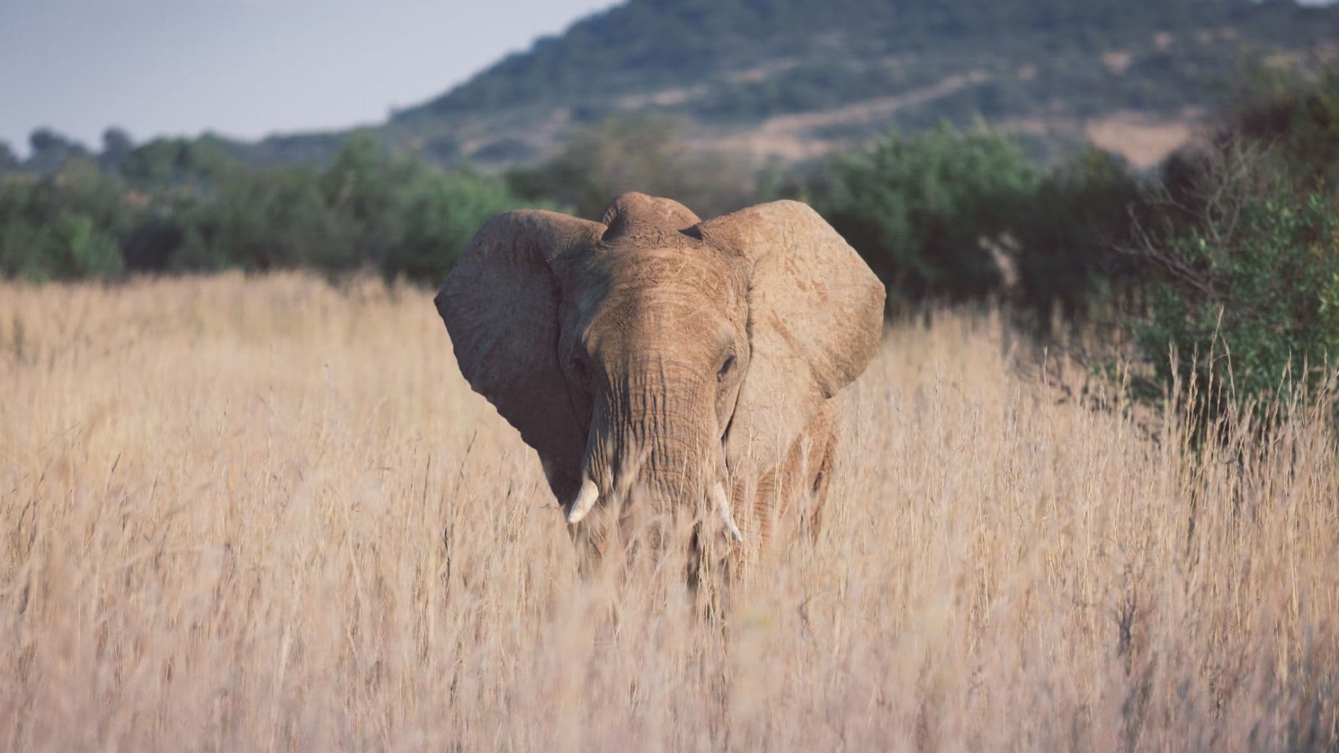 North-West's Must-Visit Tourist Hotspots