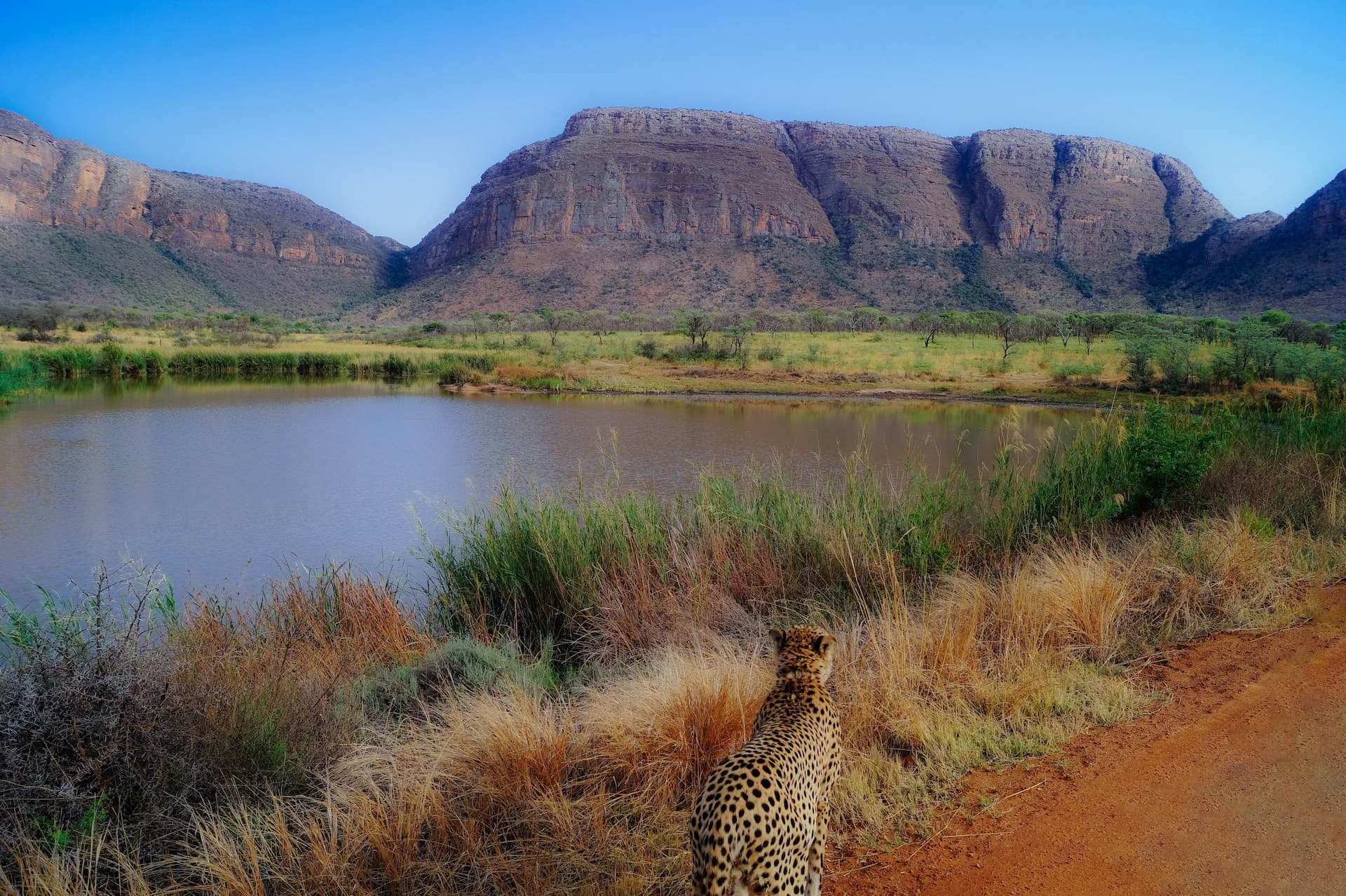 Nylsvley Nature Reserve, Limpopo
