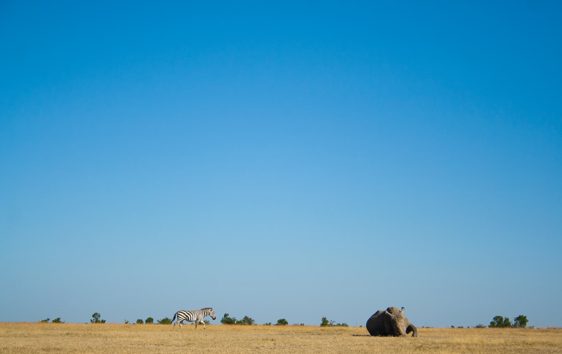 Percy Fyfe Conservancy, Limpopo