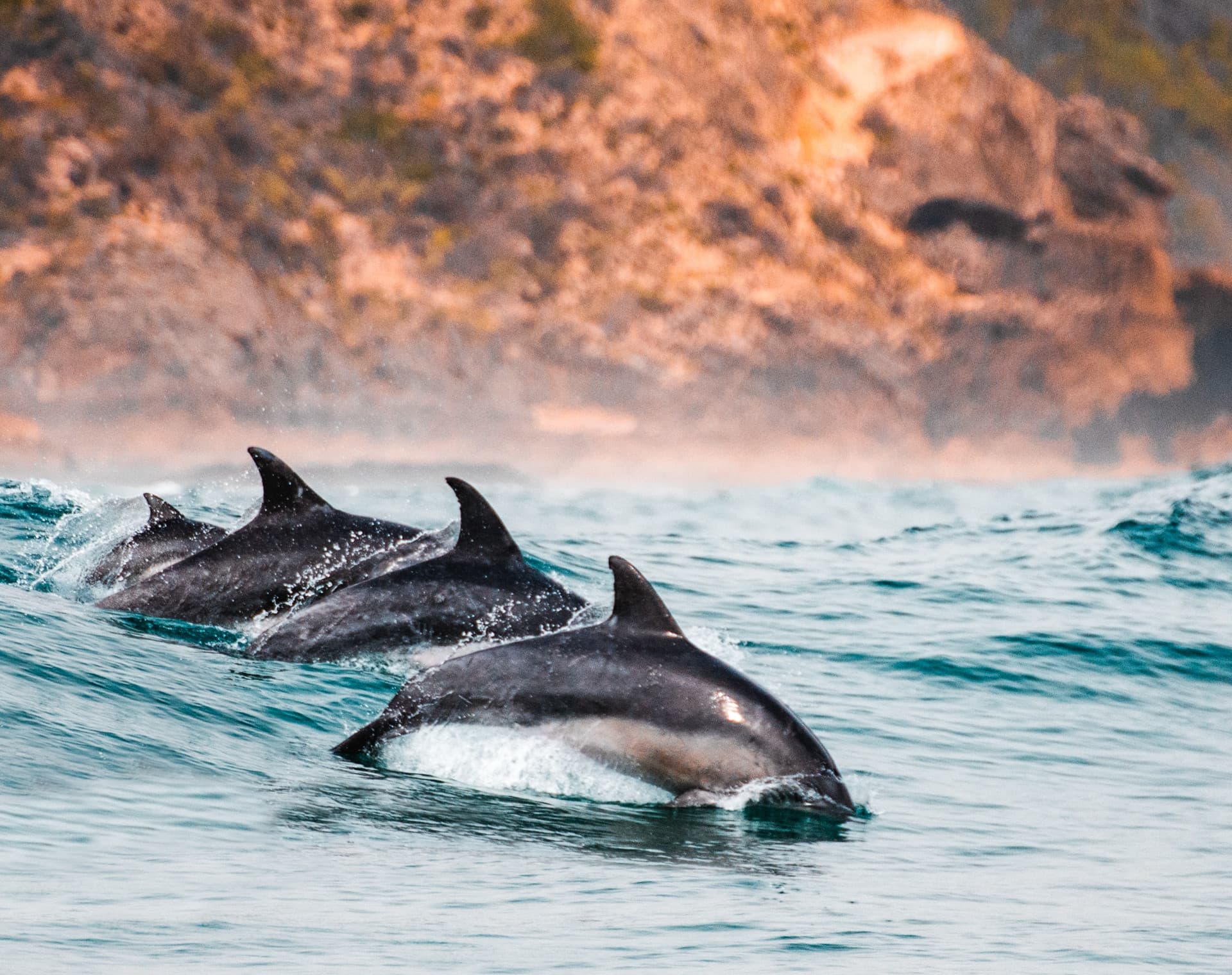 Pledge Nature Reserve