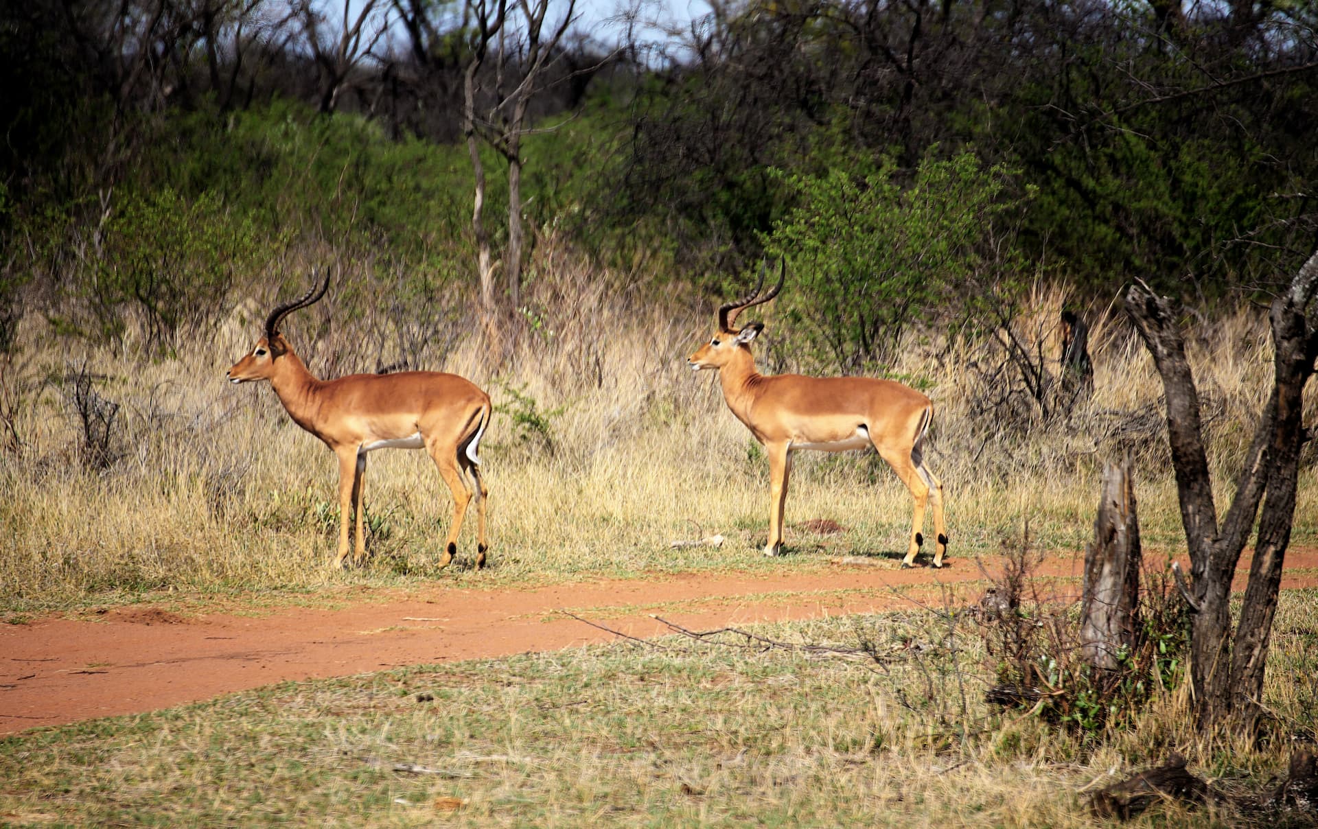 Plumari Private Game Reserve