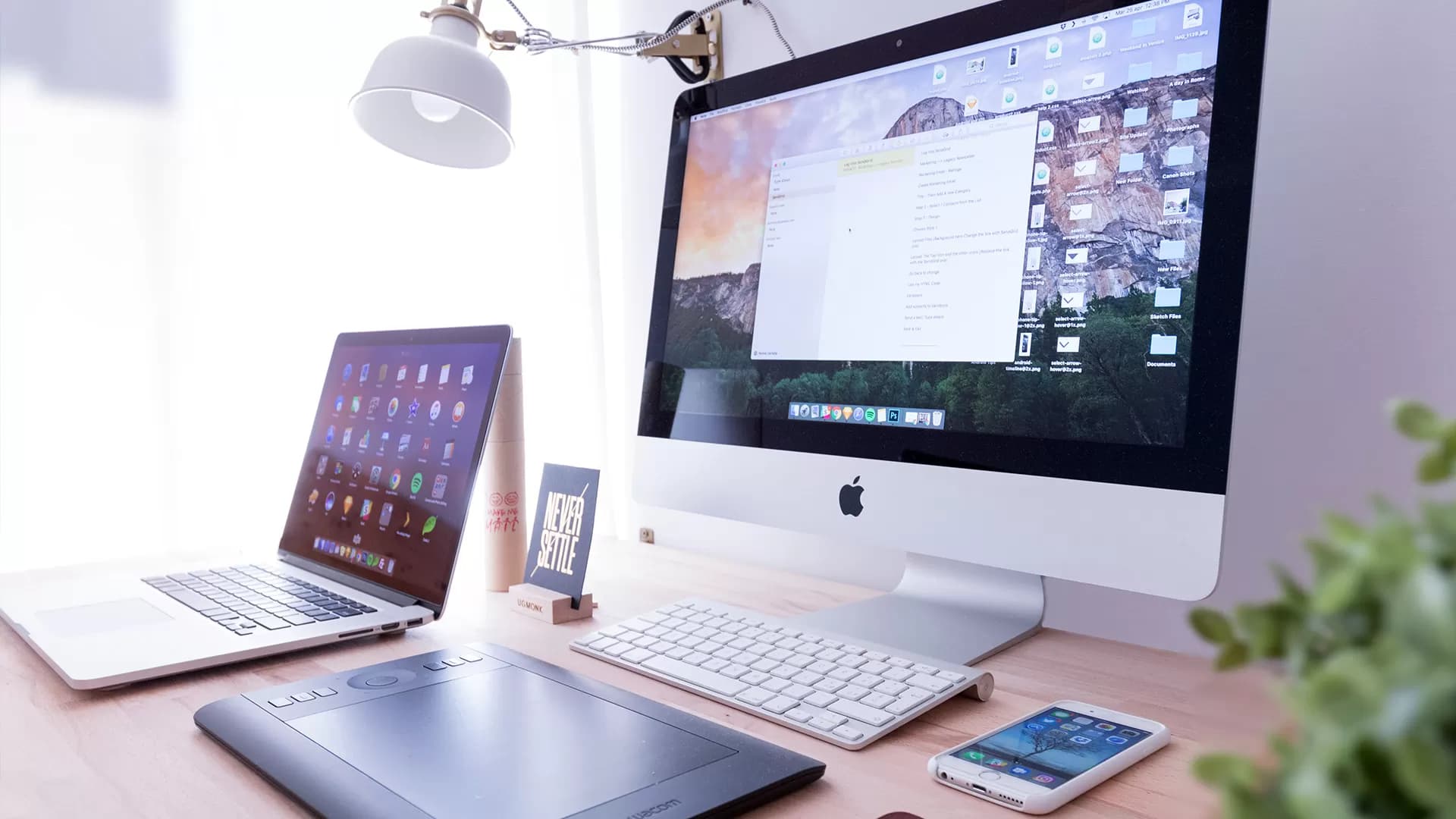 Web Development Team