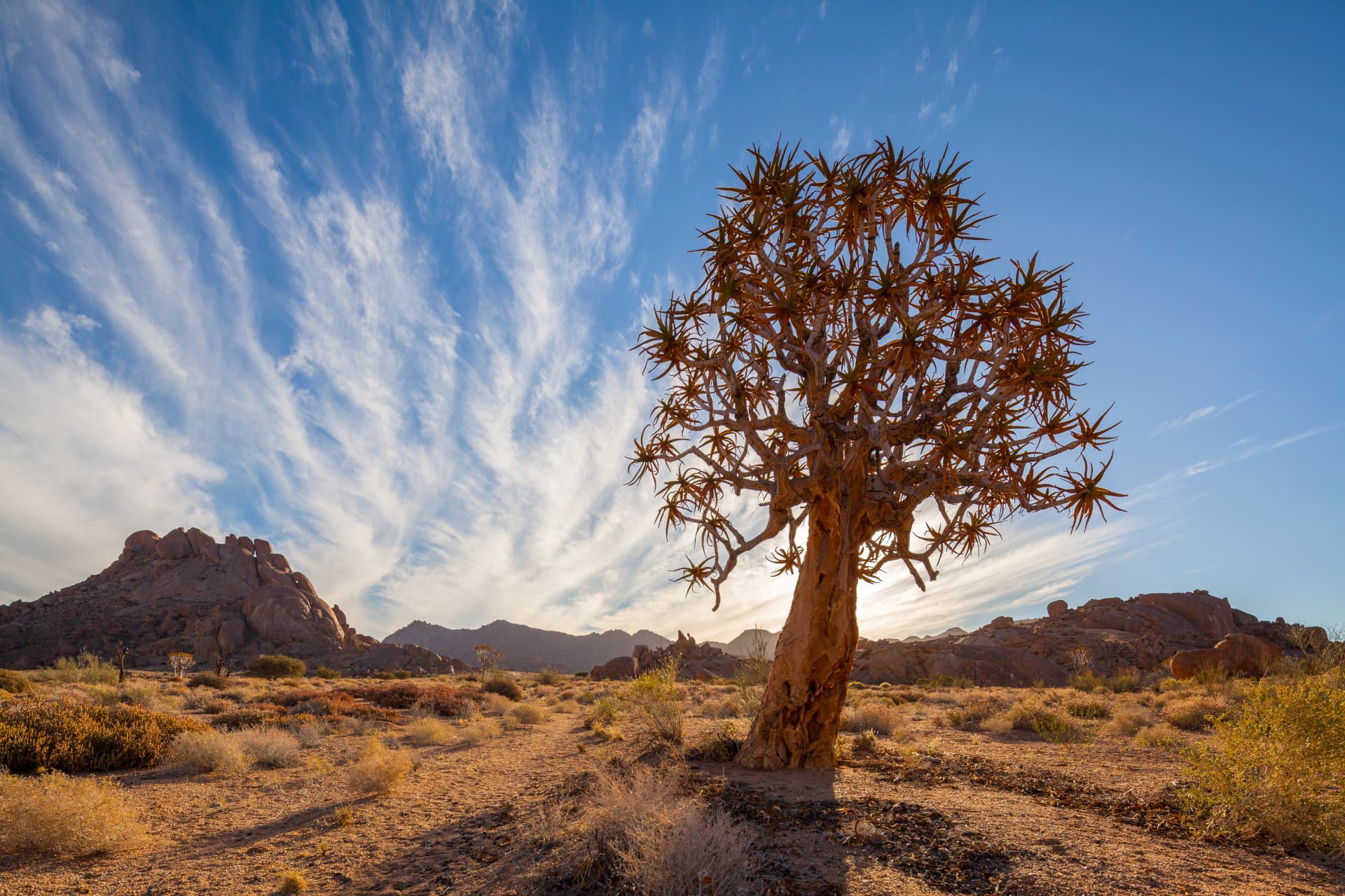 Richtersveld National Park