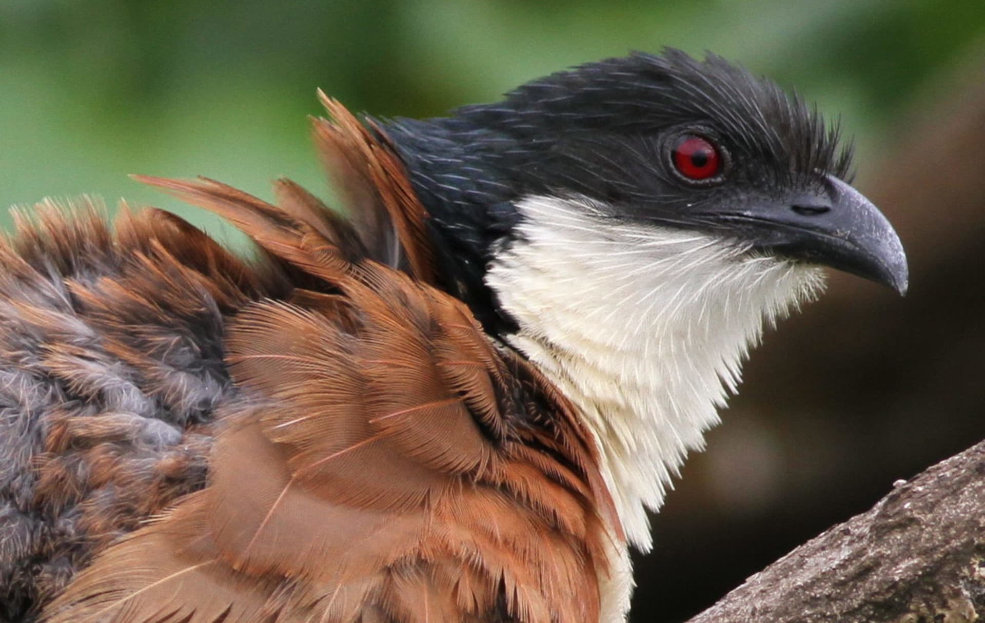 Silverglen Nature Reserve
