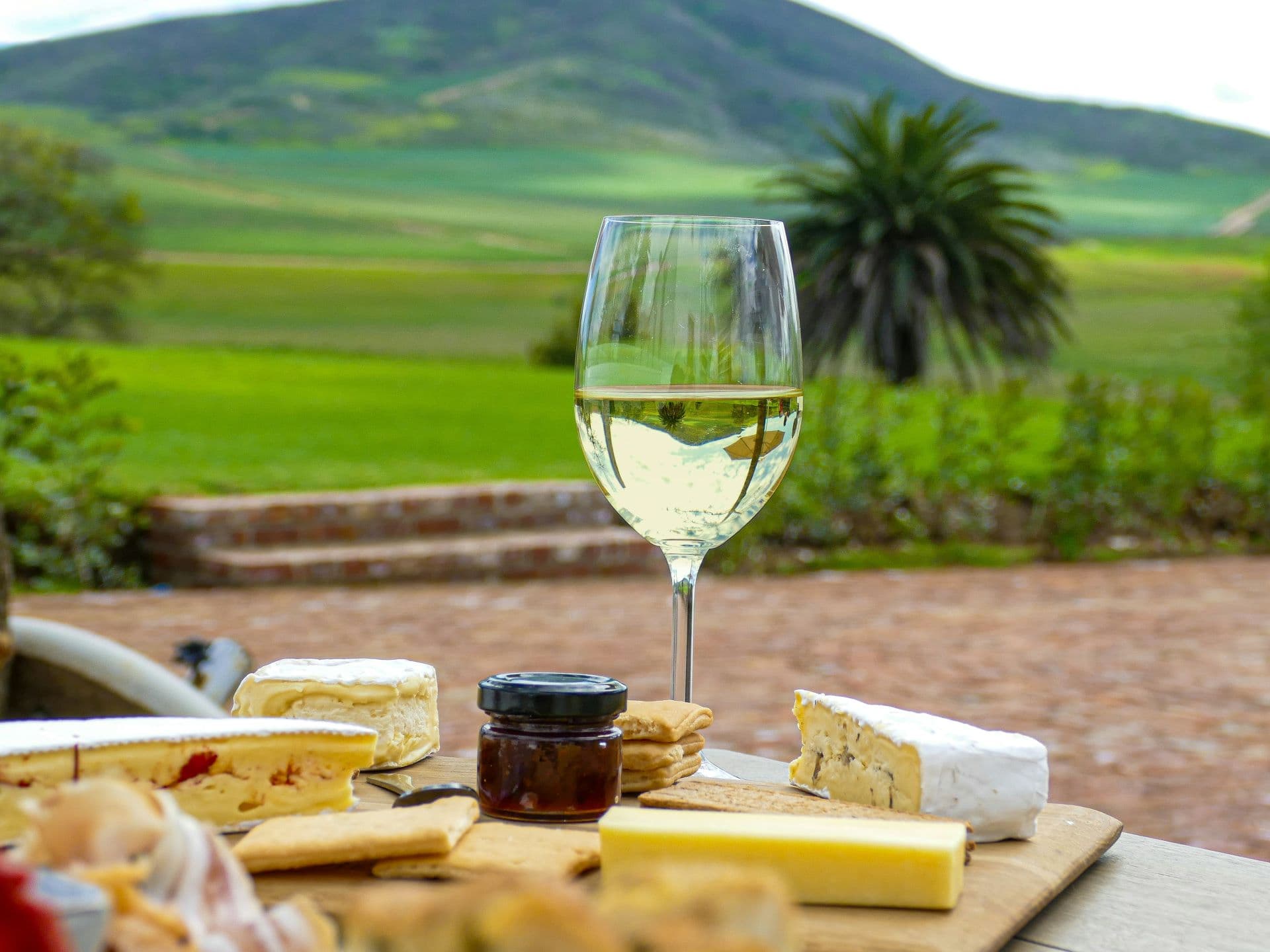 Sip & Savor: Experiencing Luxury Wine Tourism in the Cape
