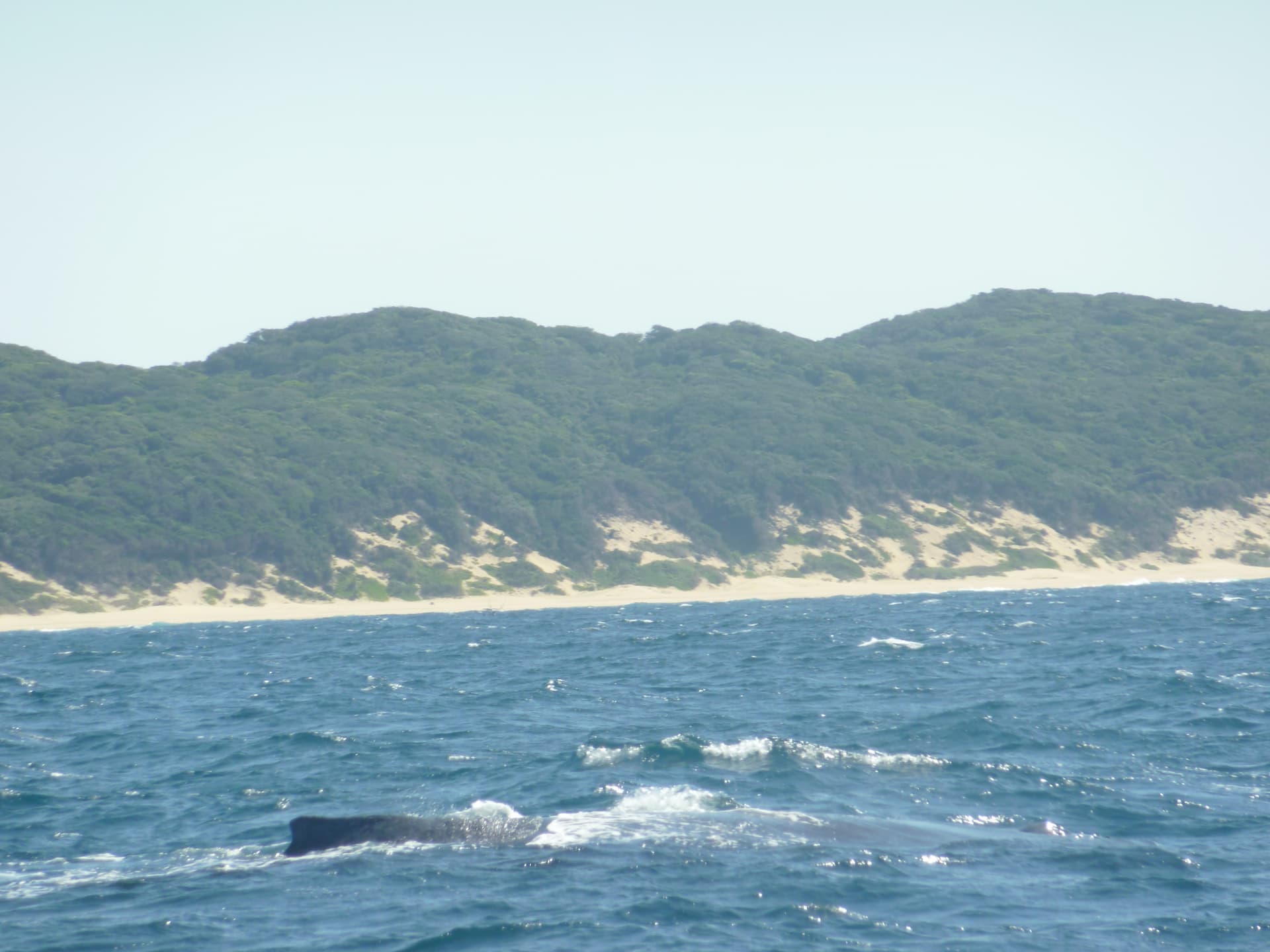 Sodwana Bay National Park