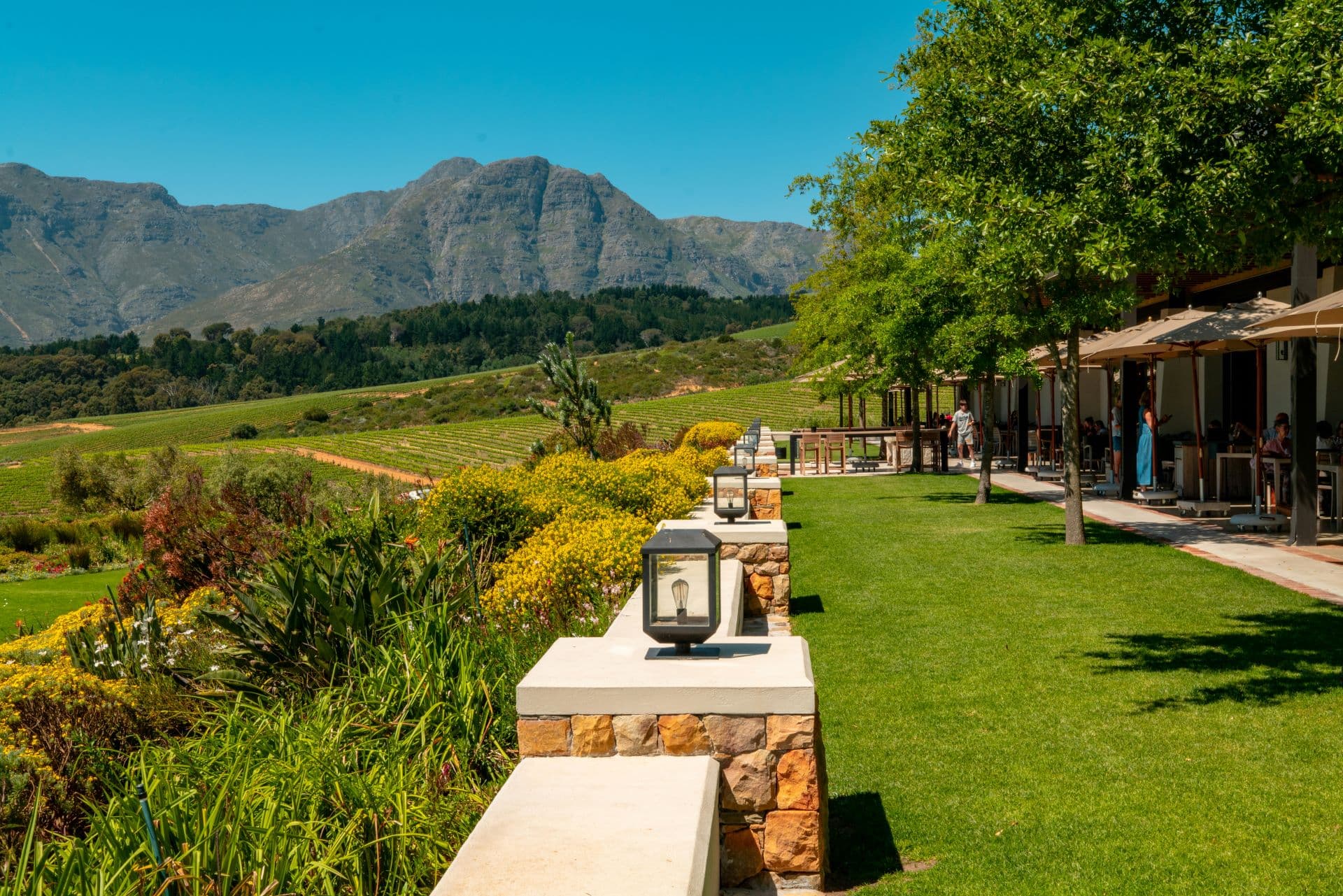 South Africa for Luxury Travelers: Exclusive Stays & Journeys