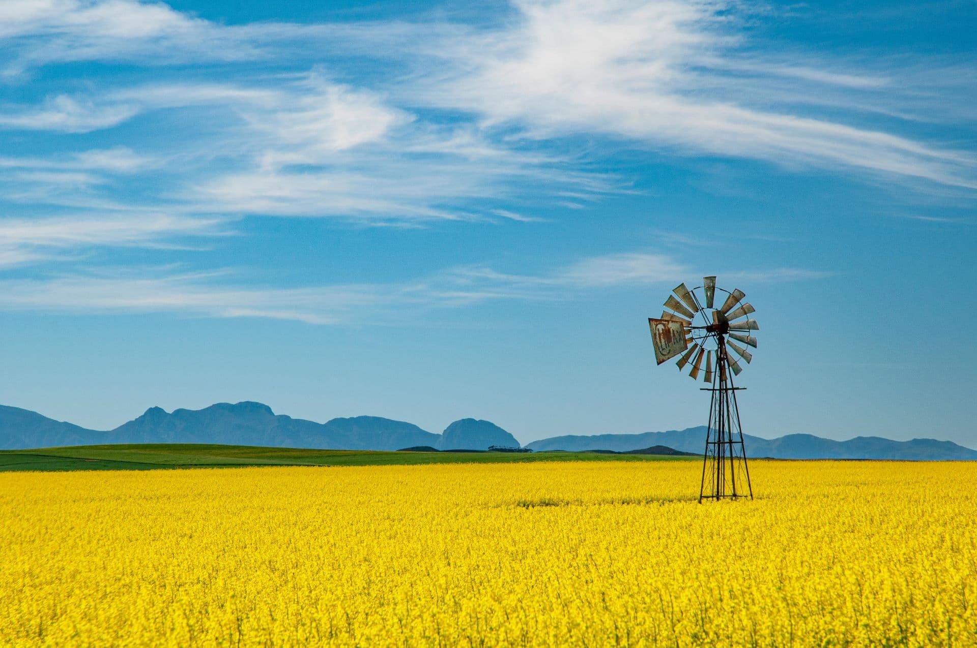 Sustainable Stays: South Africa’s Green Hotels and Lodges