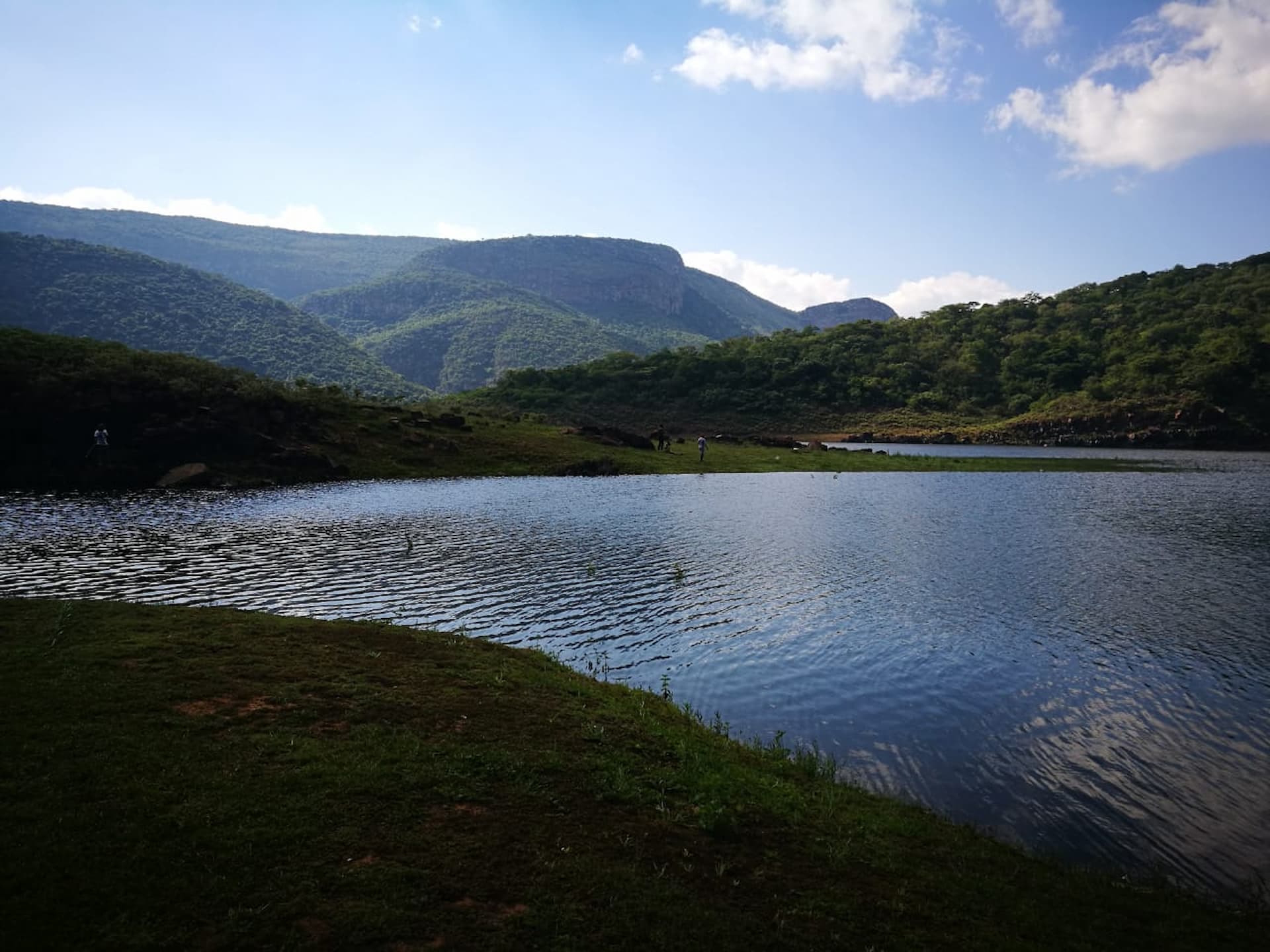Thathe Vondo Forest